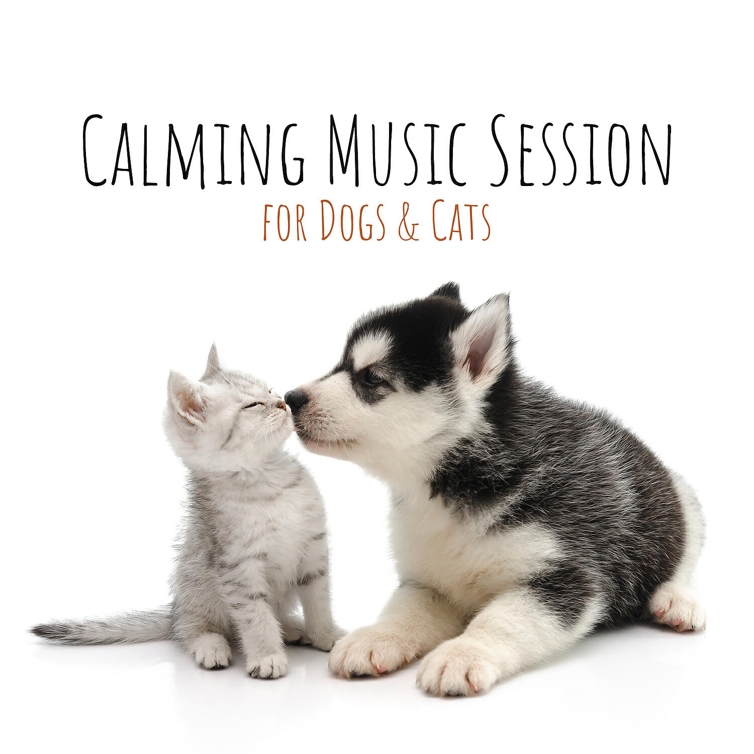 Pet Music Doctor - Light Nap