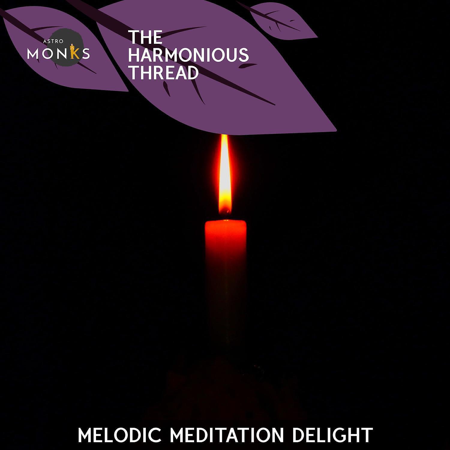 STEVEN PHILLIPS - Solace Blissful Bells