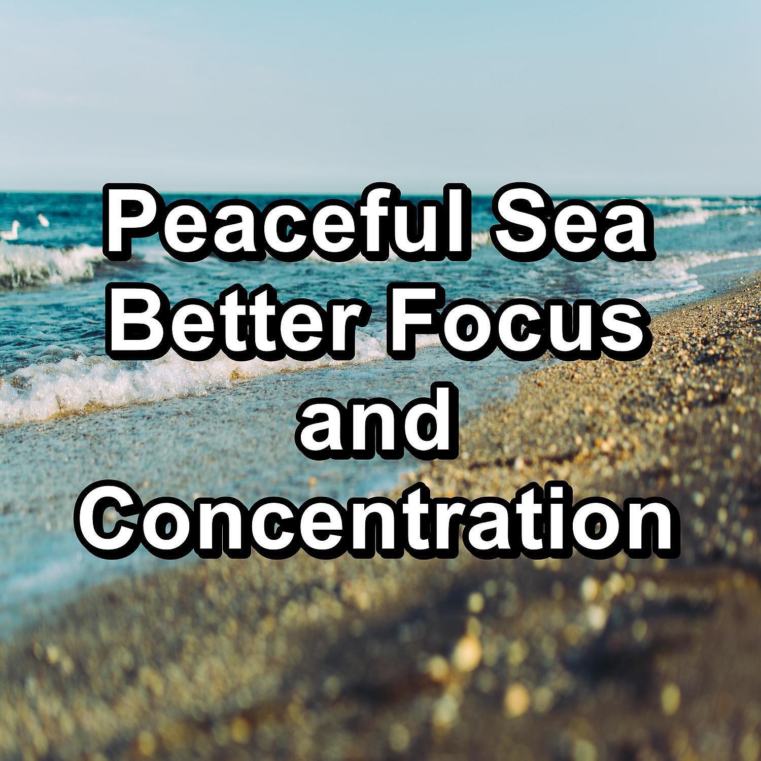 Ocean Live - Ocean and River Sounds Easy Listening For Good and Deep Sleep