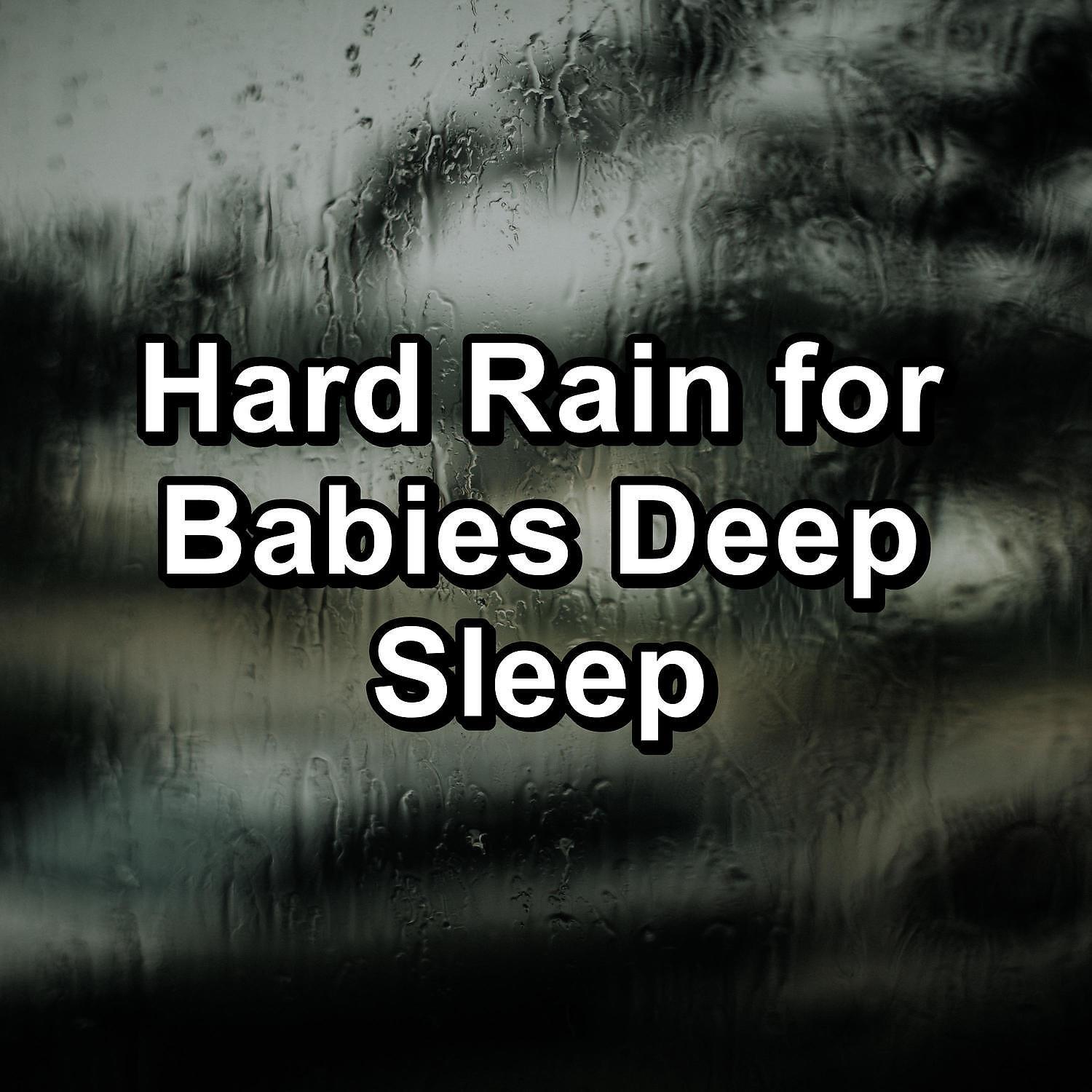 Sleep Tribe - Forest Rain with Thunder and White Noise To Sleep with for 8 Hours