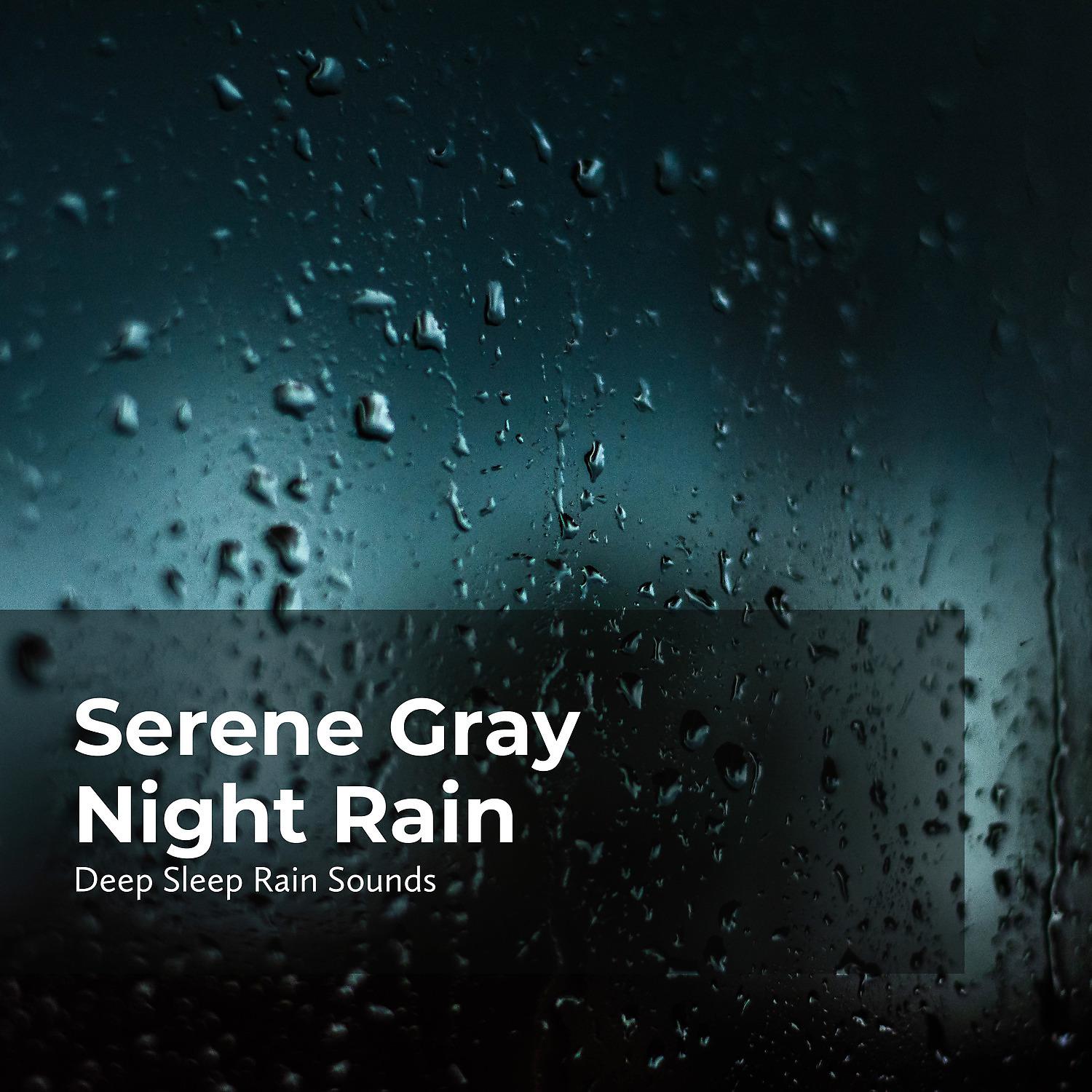 Постер альбома Serene Gray Night Rain