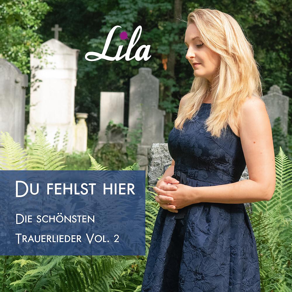 Постер альбома Du fehlst hier - Die schönsten Trauerlieder, Vol. 2
