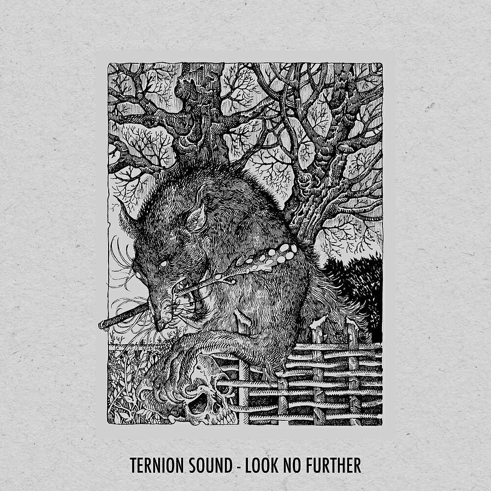 Ternion Sound - Look No Further (Original Mix)