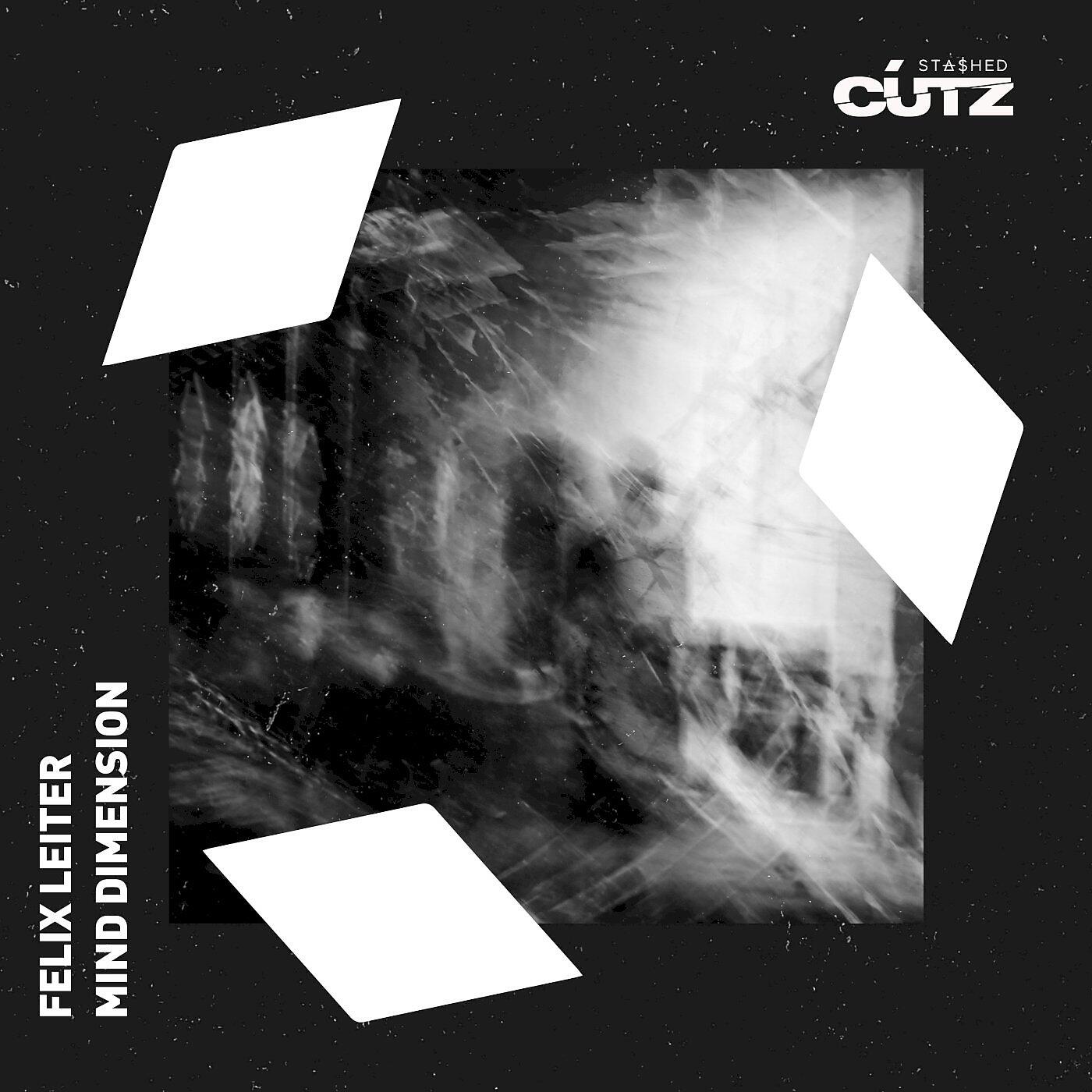Felix Leiter - Mind Dimension (Original Mix)