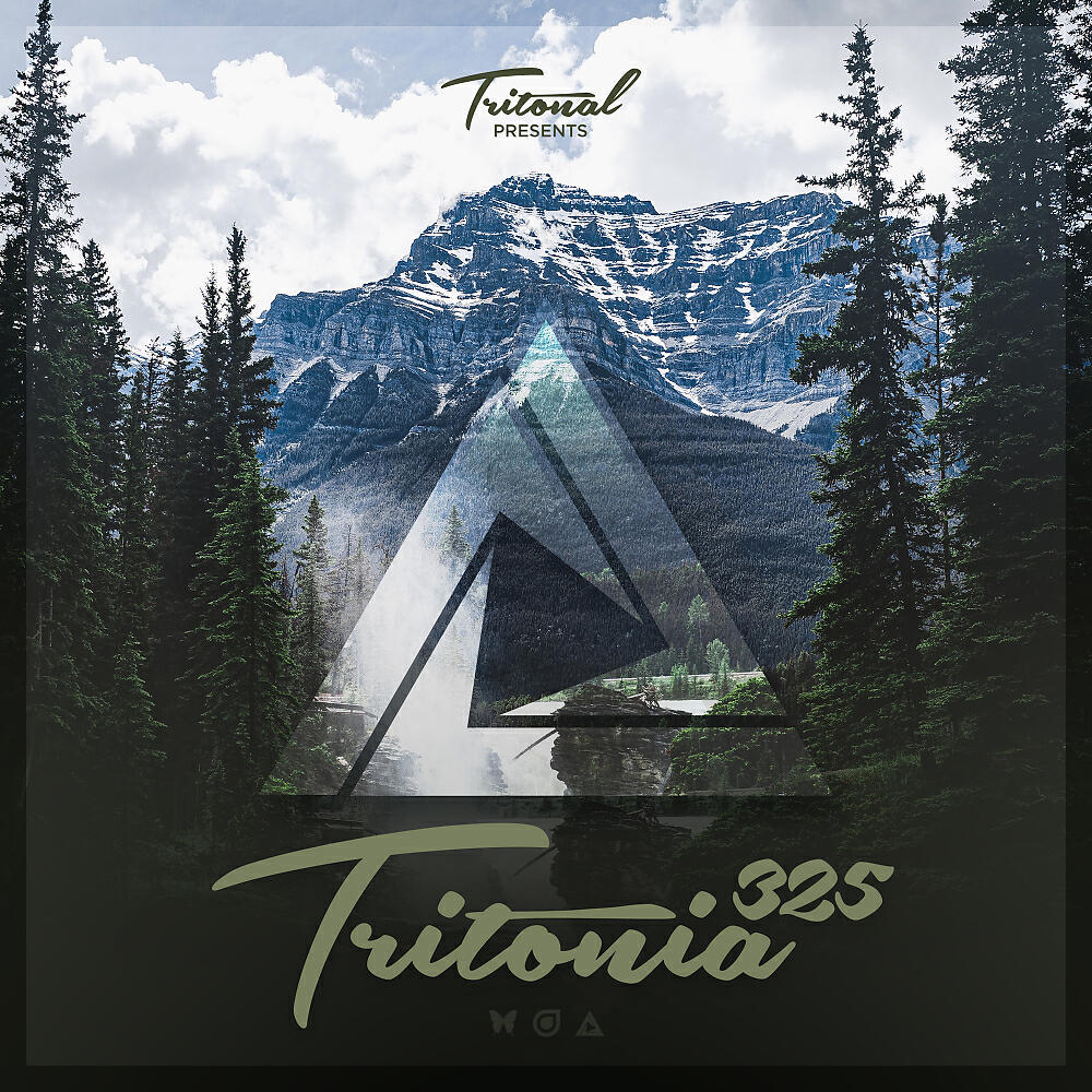 Steve Brian - To Get To You (Tritonia 325) (Original Mix)