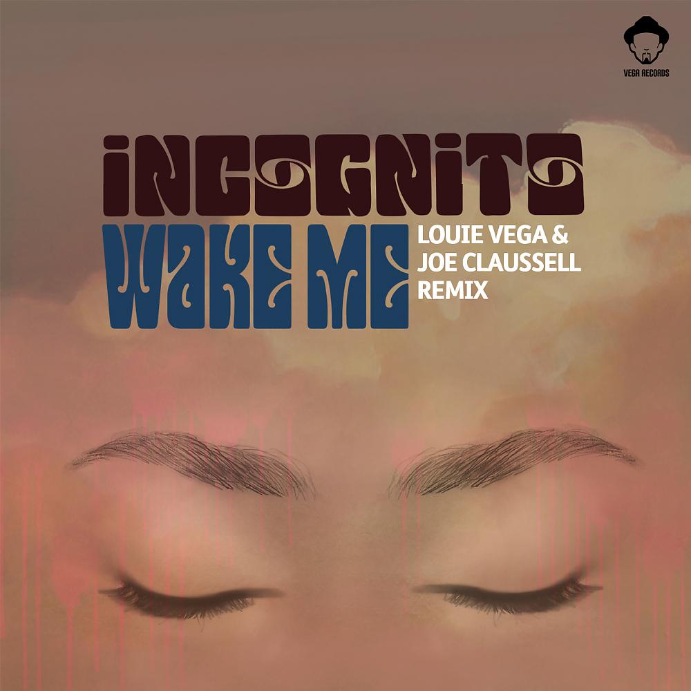 Постер альбома Wake Me (Louie Vega & Joe Claussell Remix)