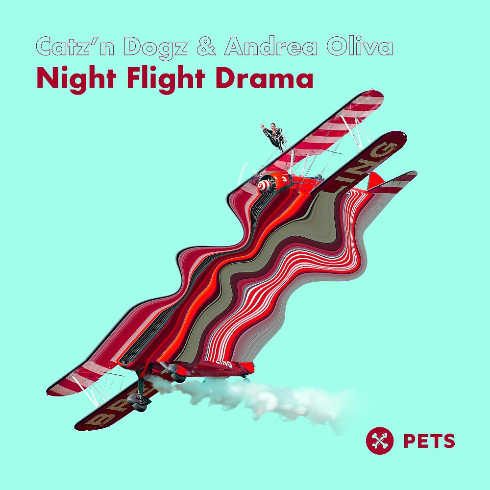 Постер альбома Night Flight Drama