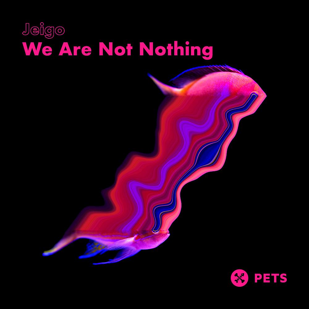 Постер альбома We Are Not Nothing