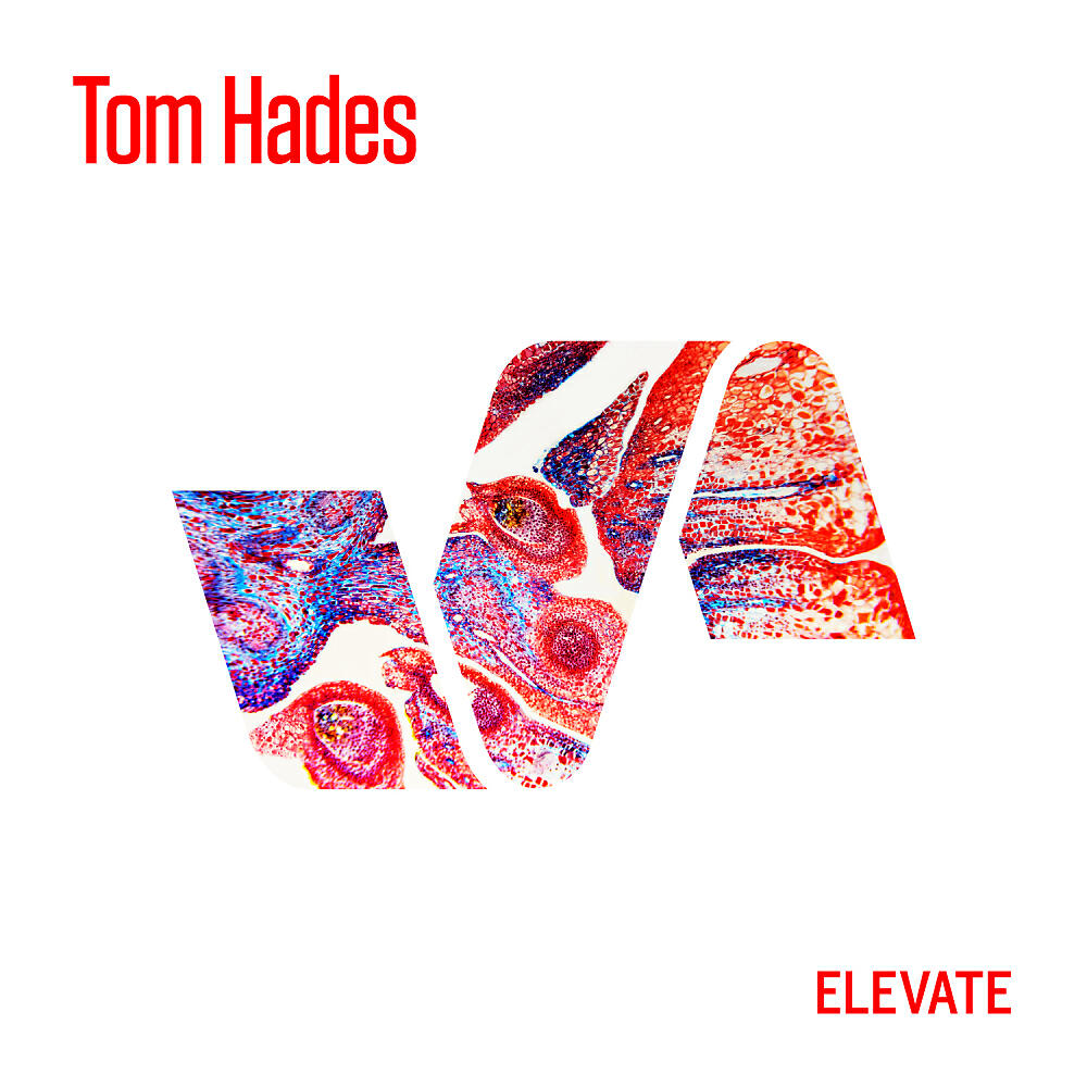 Tom Hades - Cloned (Original Mix)
