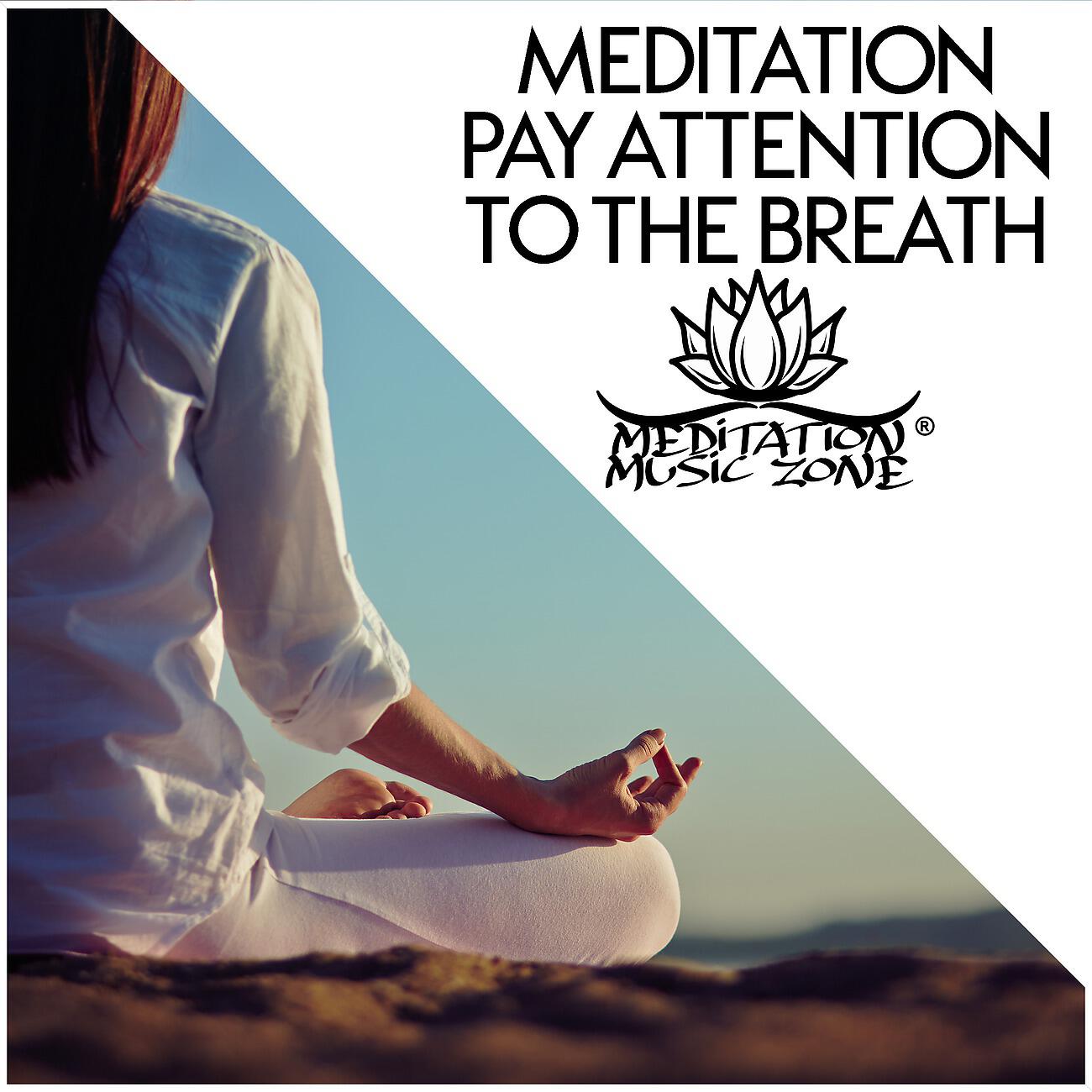 Interstellar Meditation Music Zone - Calm Flute Sounds