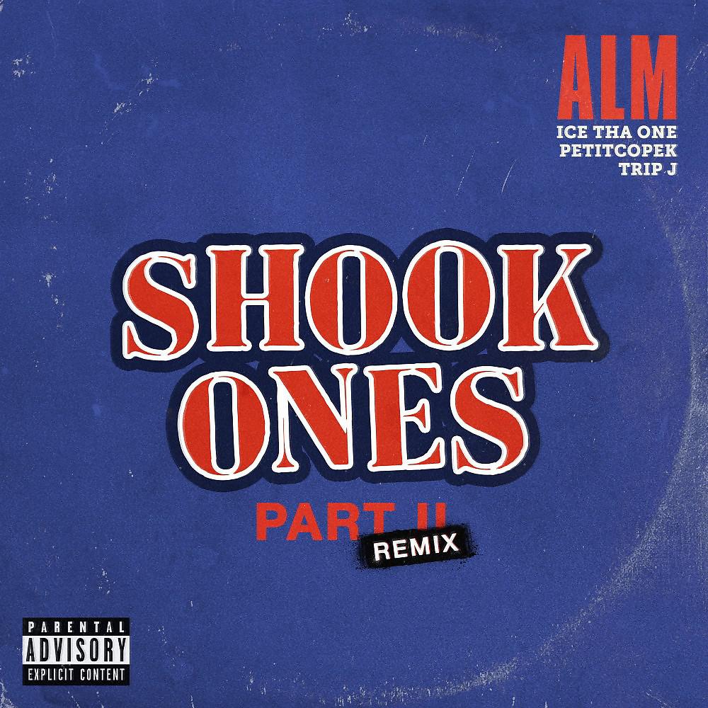 Постер альбома Shook Ones, Pt. II (Remixes)