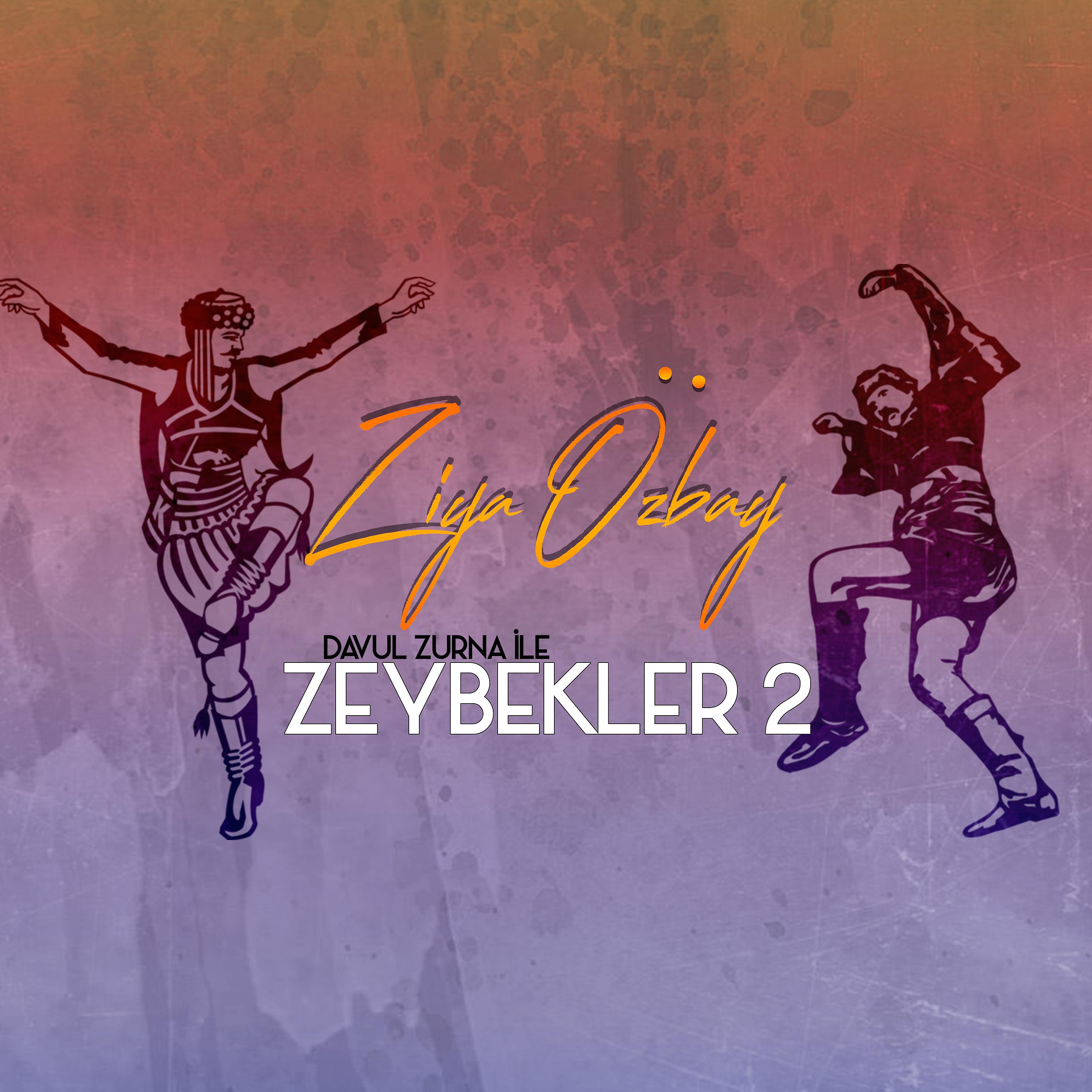 Постер альбома Davul Zurna ile Zeybekler 2