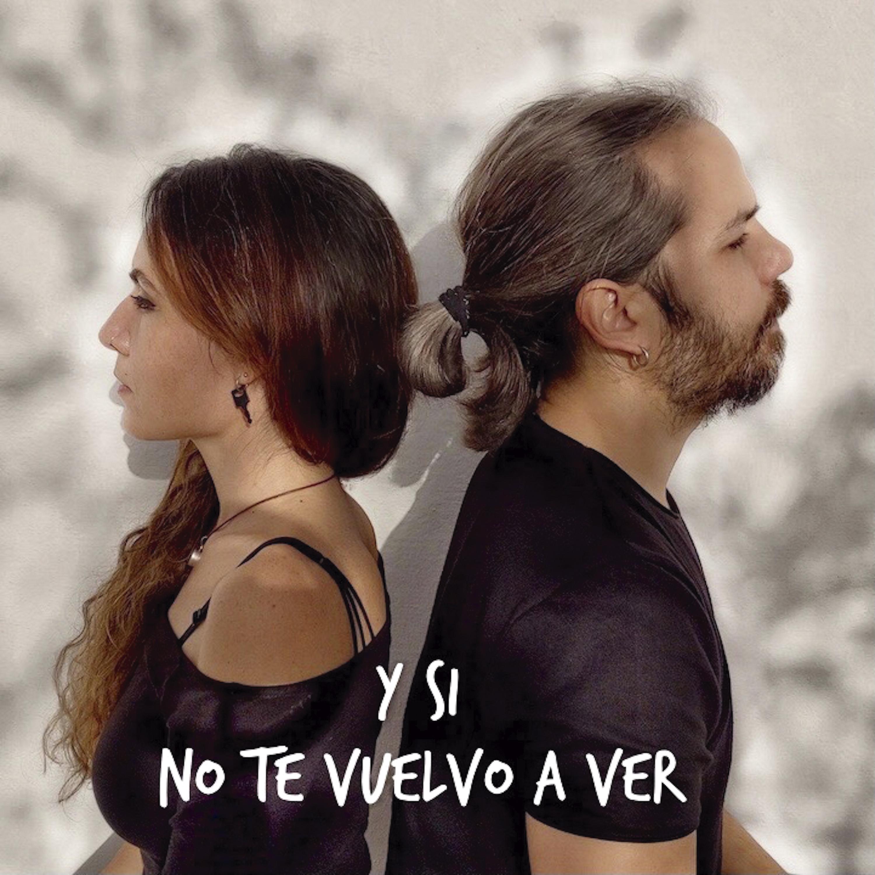 Постер альбома Y Si No Te Vuelvo a Ver