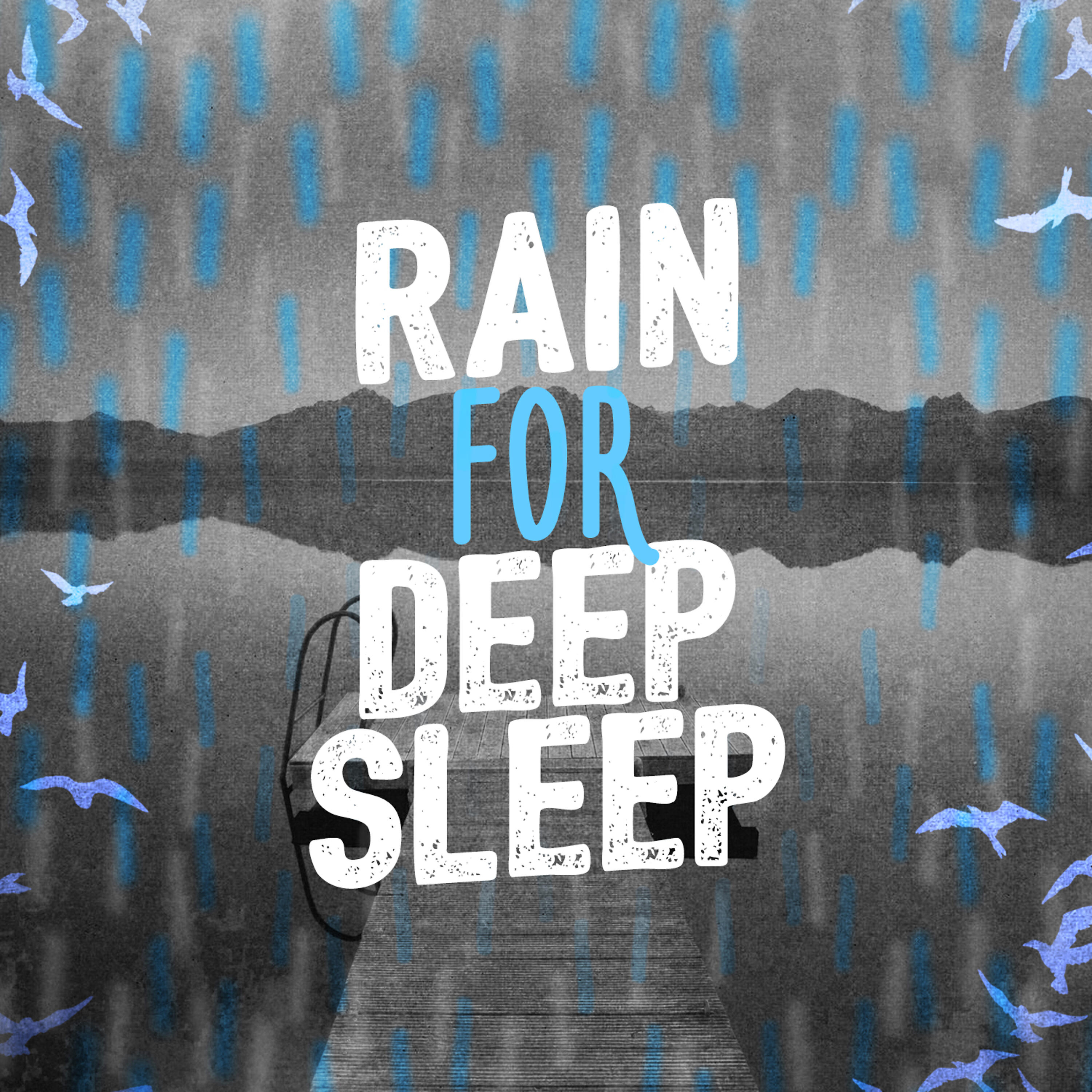 The Weather Sound Study Group - Rain on the Veranda