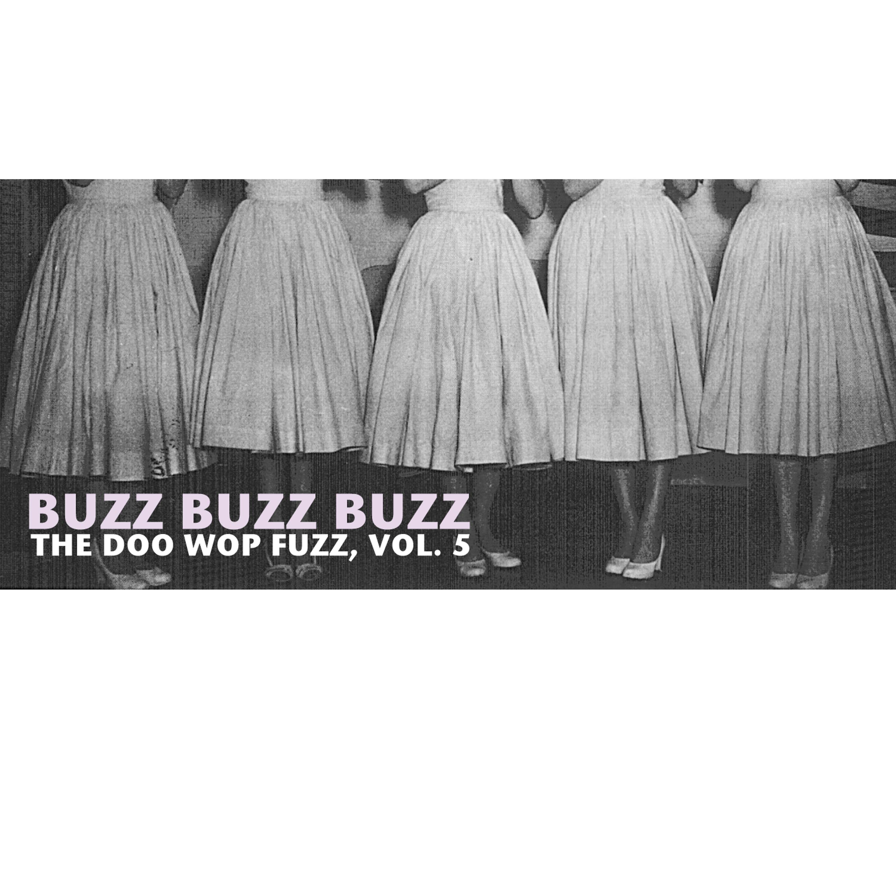 Постер альбома Buzz Buzz Buzz, The Doo Wop Fuzz, Vol. 5