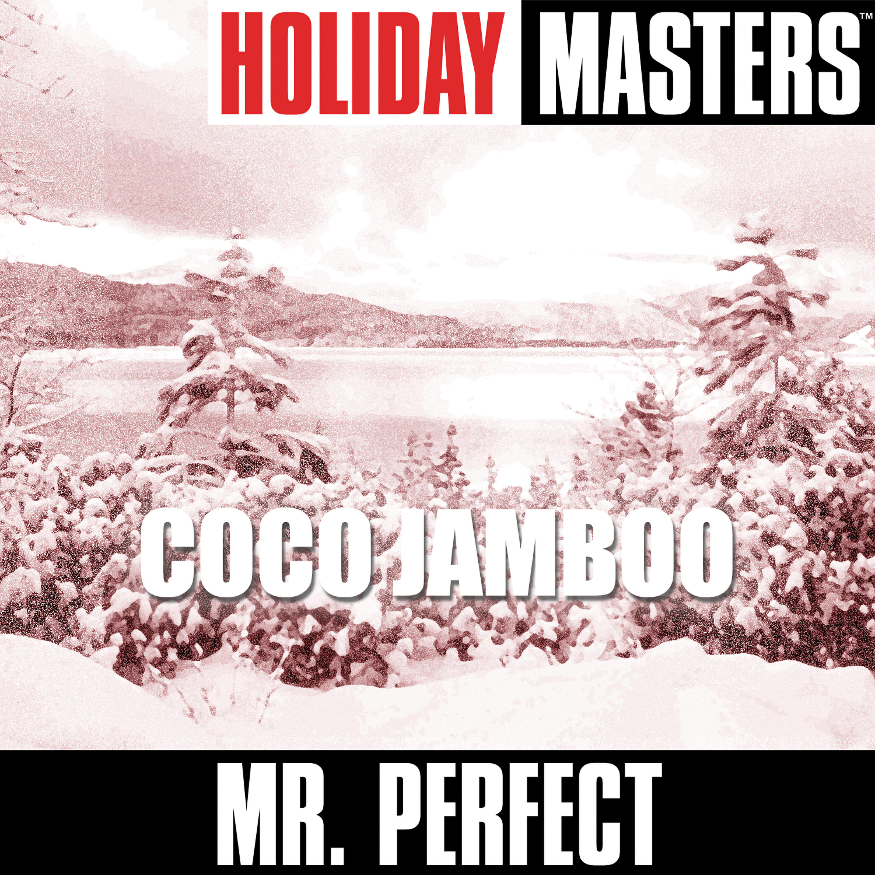 Mr. Perfect - Coco Jamboo (X-Mas Jamboo)