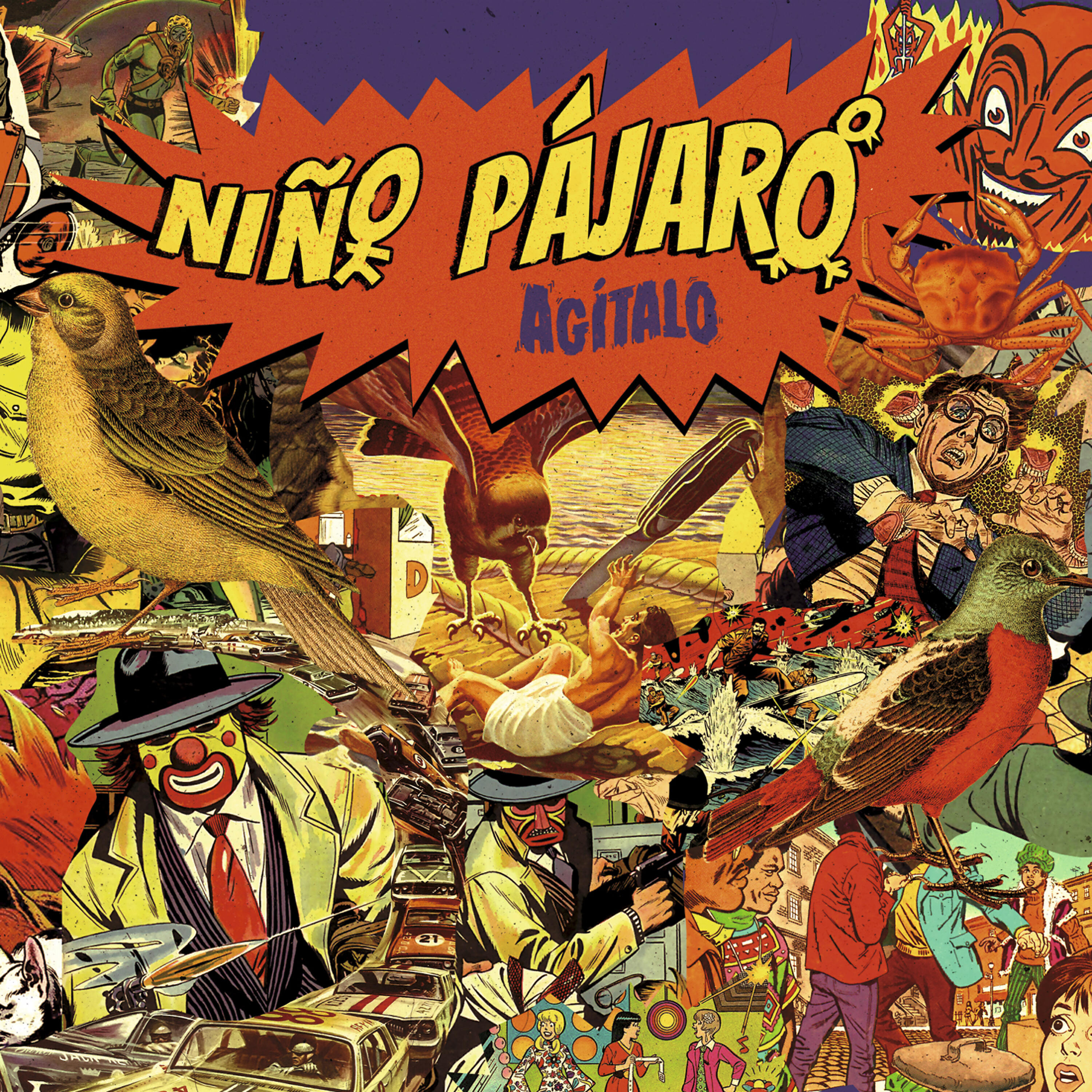 Niño Pájaro - Divididos