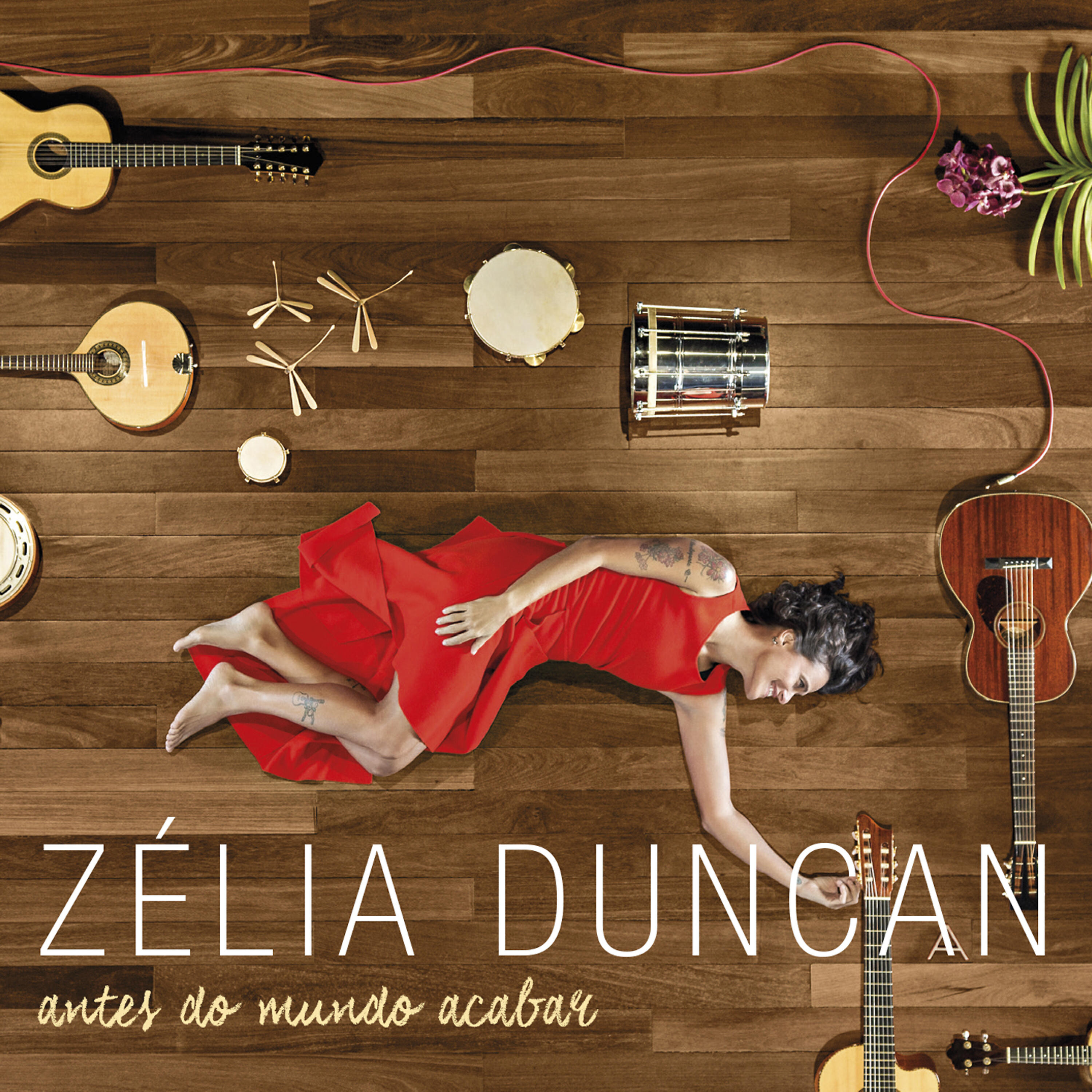 Zélia Duncan - Em Cada Canto uma Esperança
