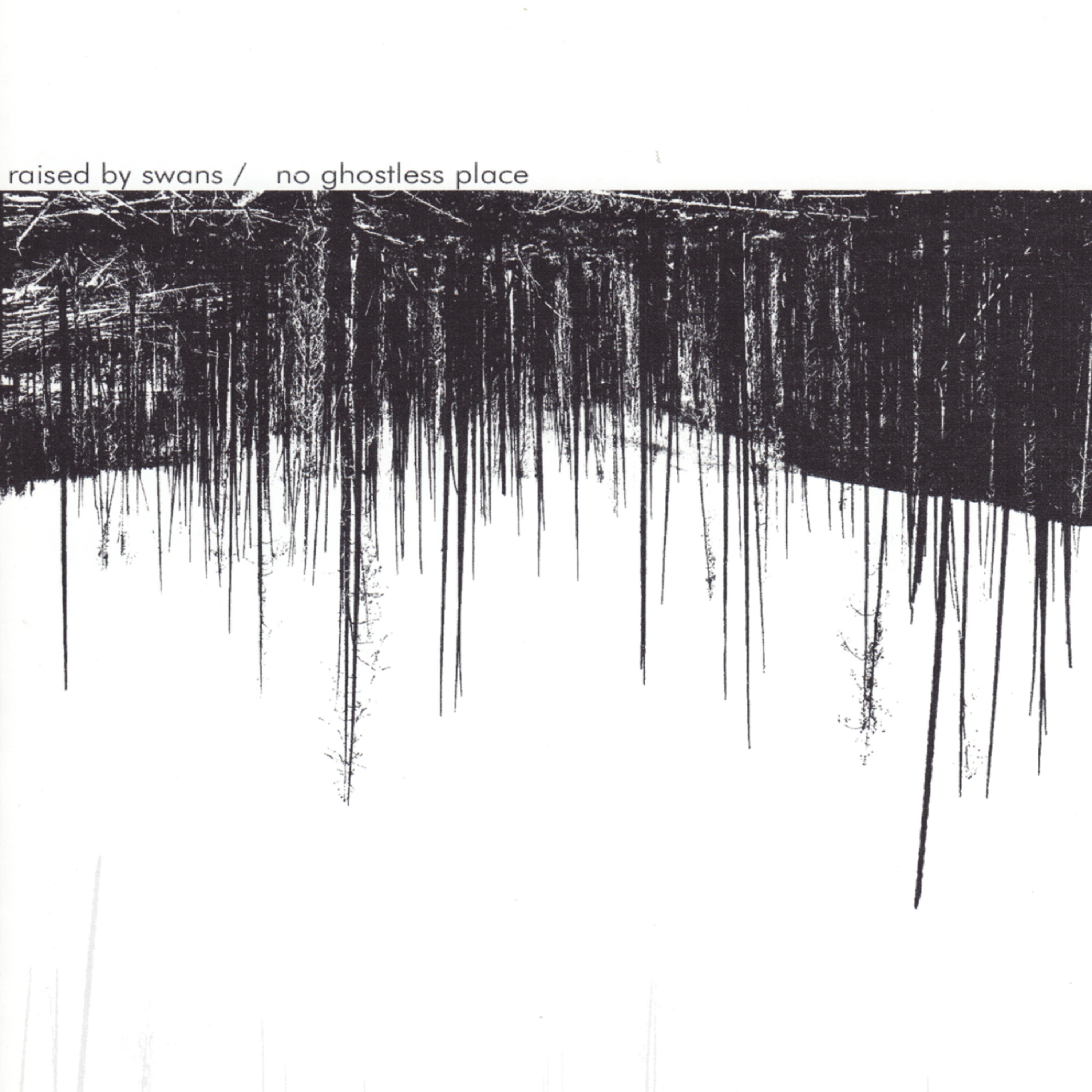 Raised By Swans - Hail of Arrows