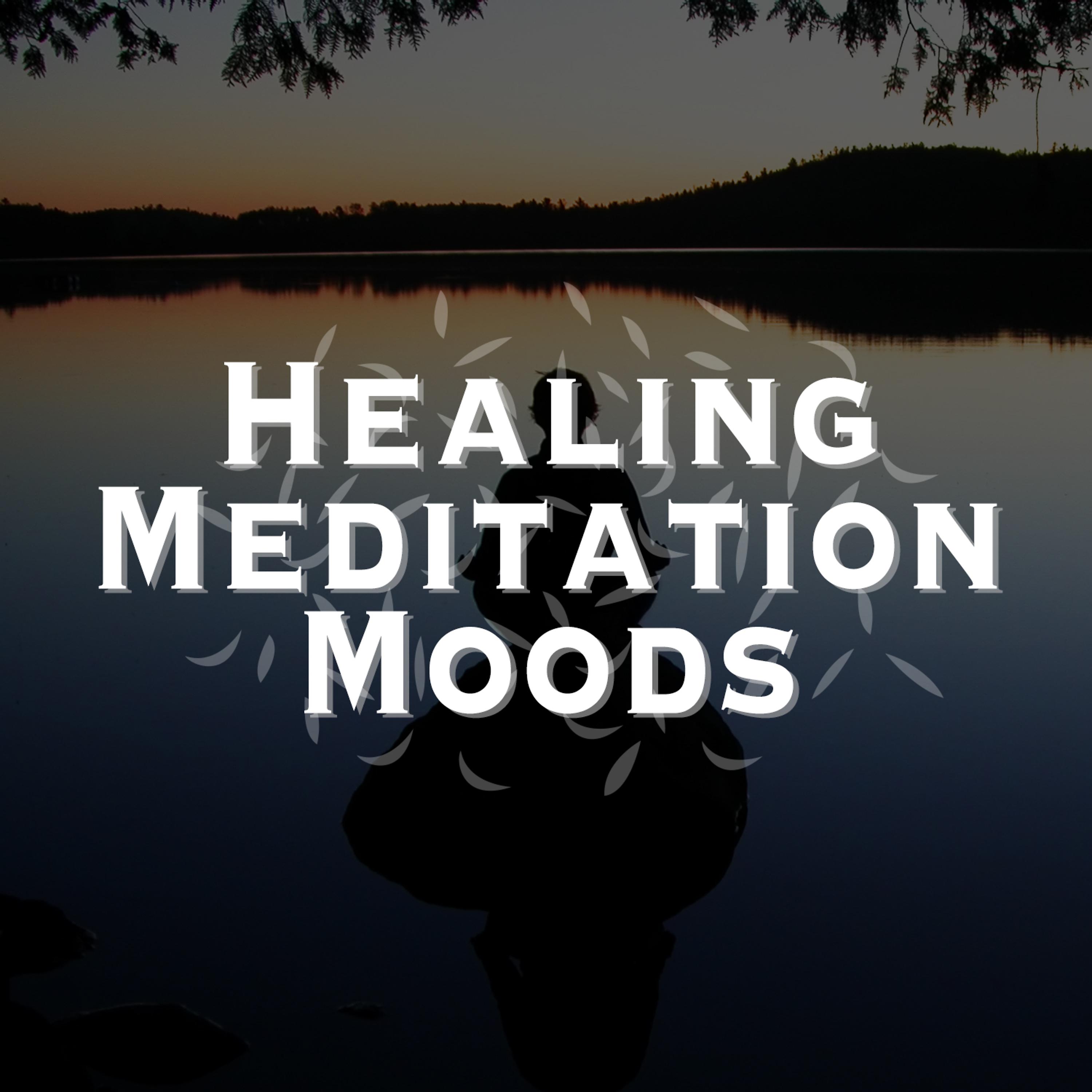 Постер альбома Healing Meditation Moods