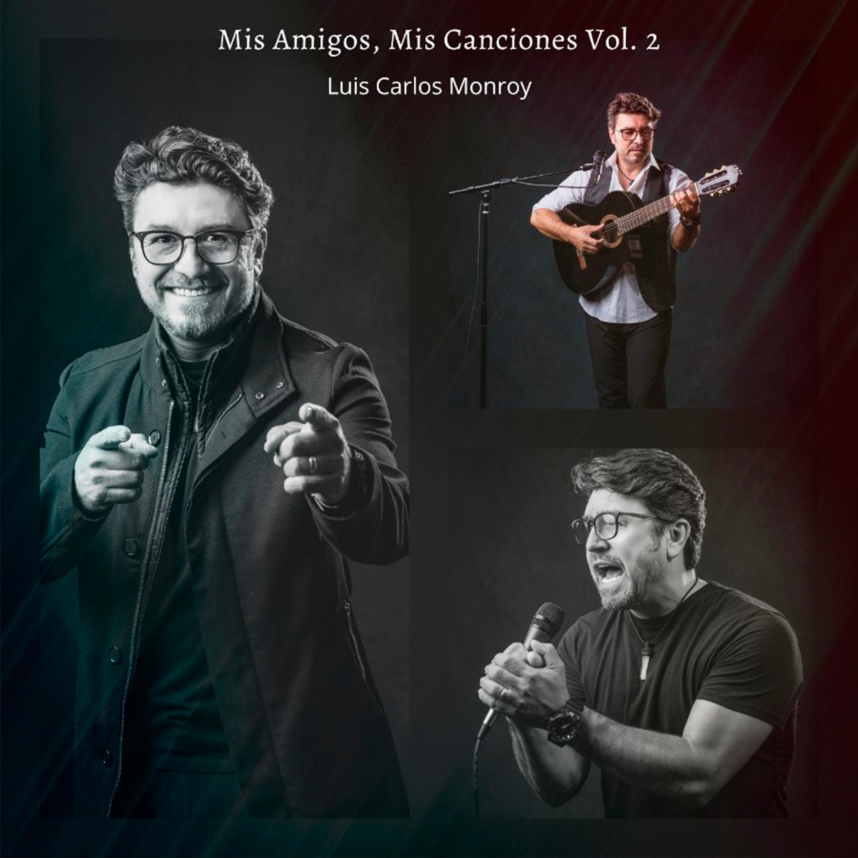 Постер альбома Mis Amigos, Mis Canciones Vol. 2