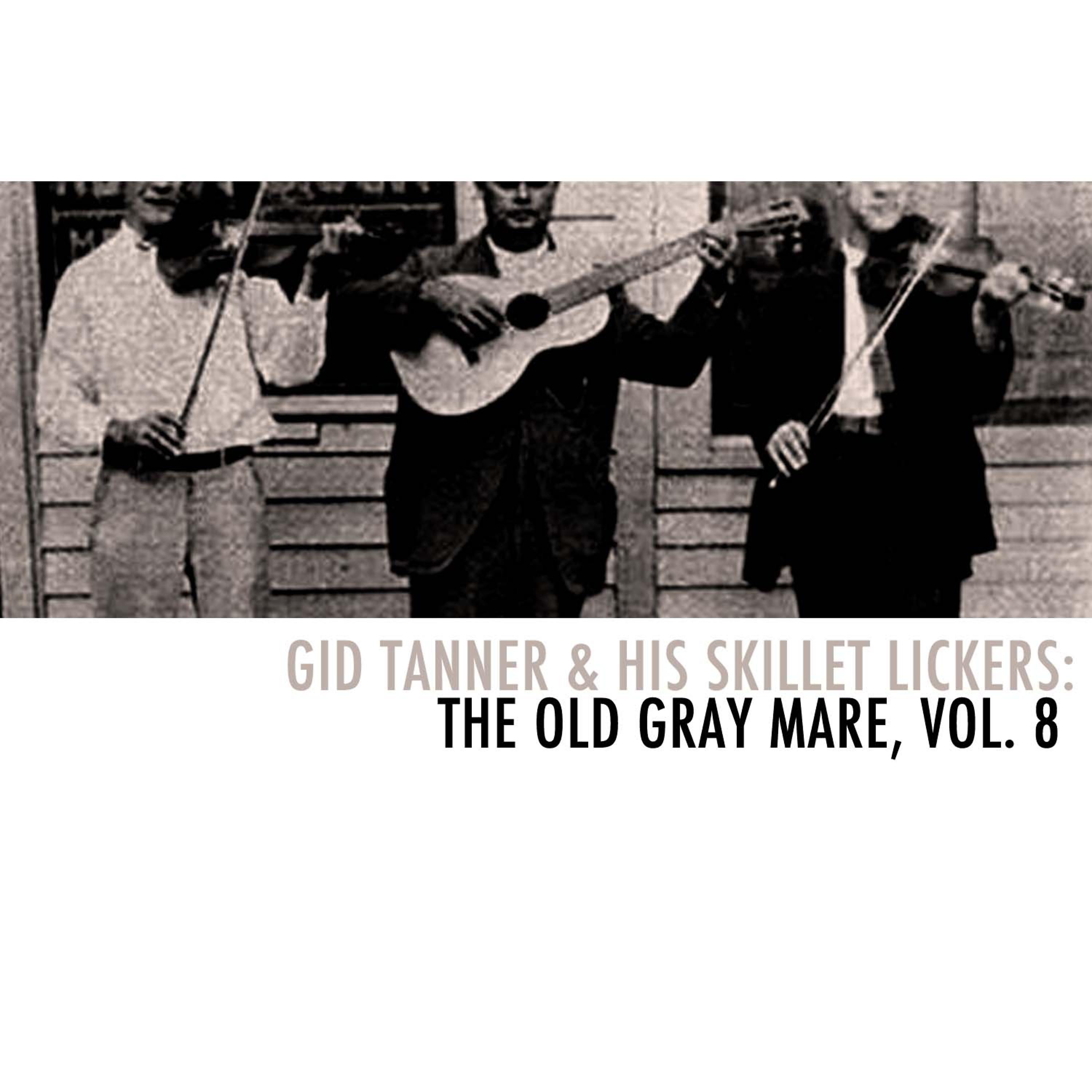 Постер альбома Gid Tanner & His Skillet Lickers: The Old Gray Mare, Vol. 8