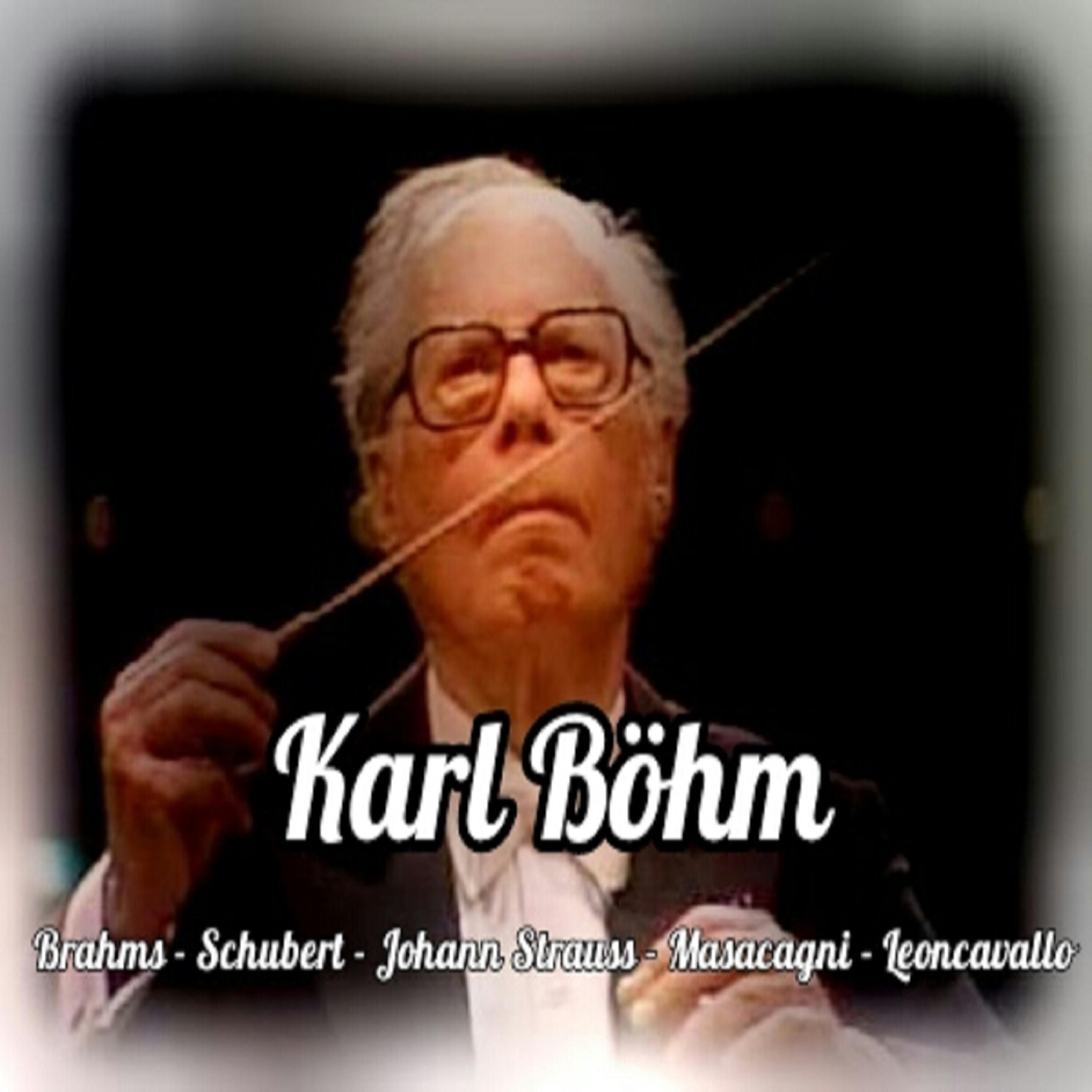 The Wiener Philharmoniker - Symphony No. 1 in C Minor, Op. 68: I. Un poco sostenuto - Allegro