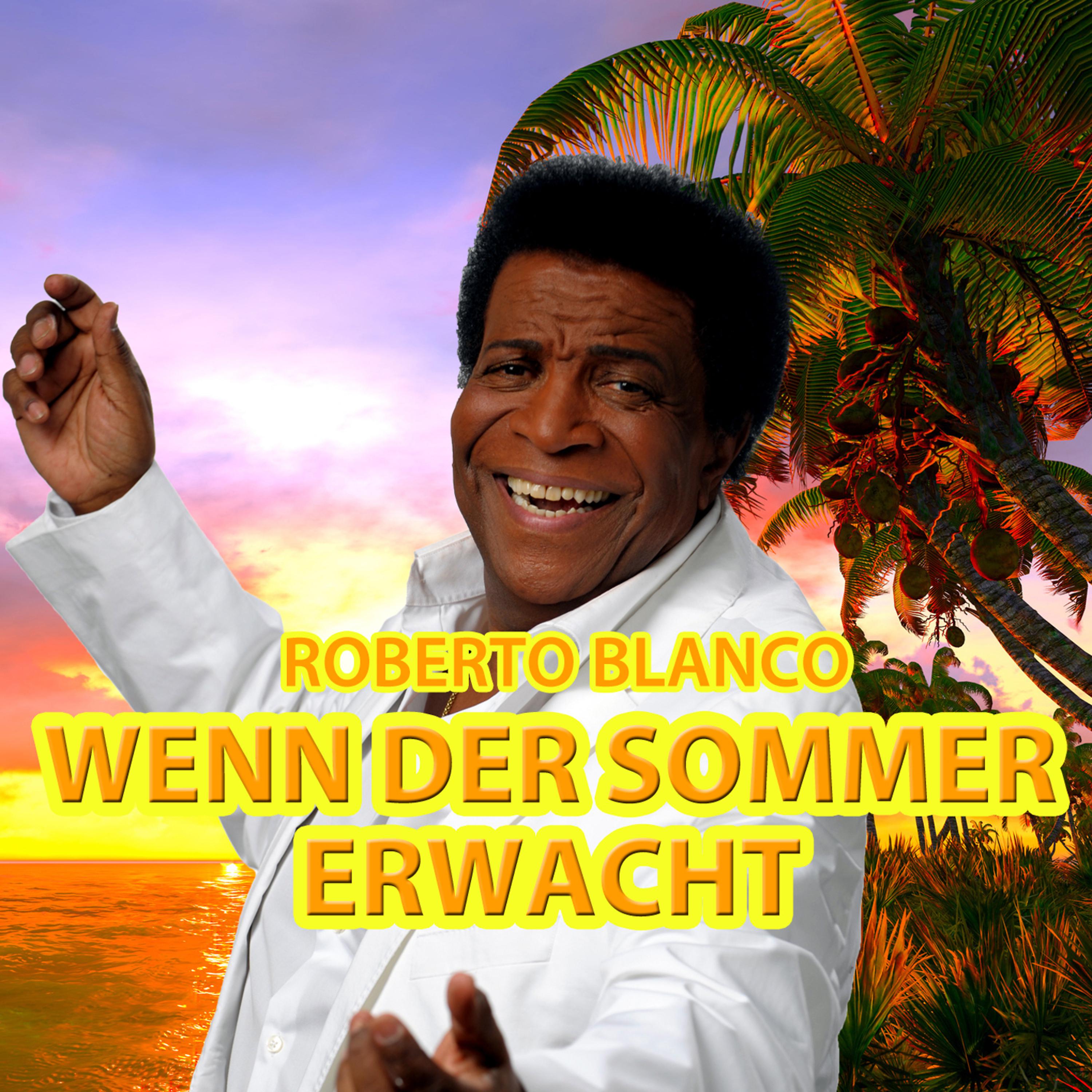 Постер альбома Wenn der Sommer erwacht