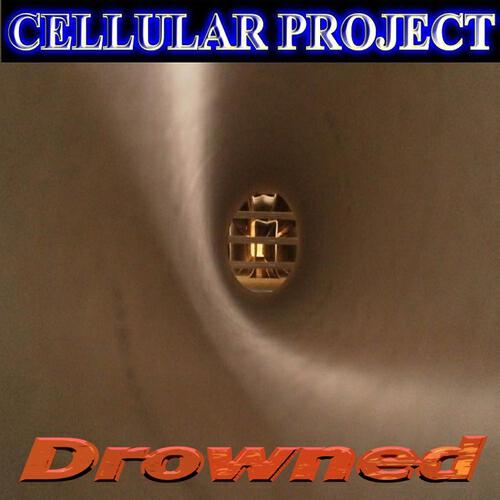 Cellular Project - Quo Status