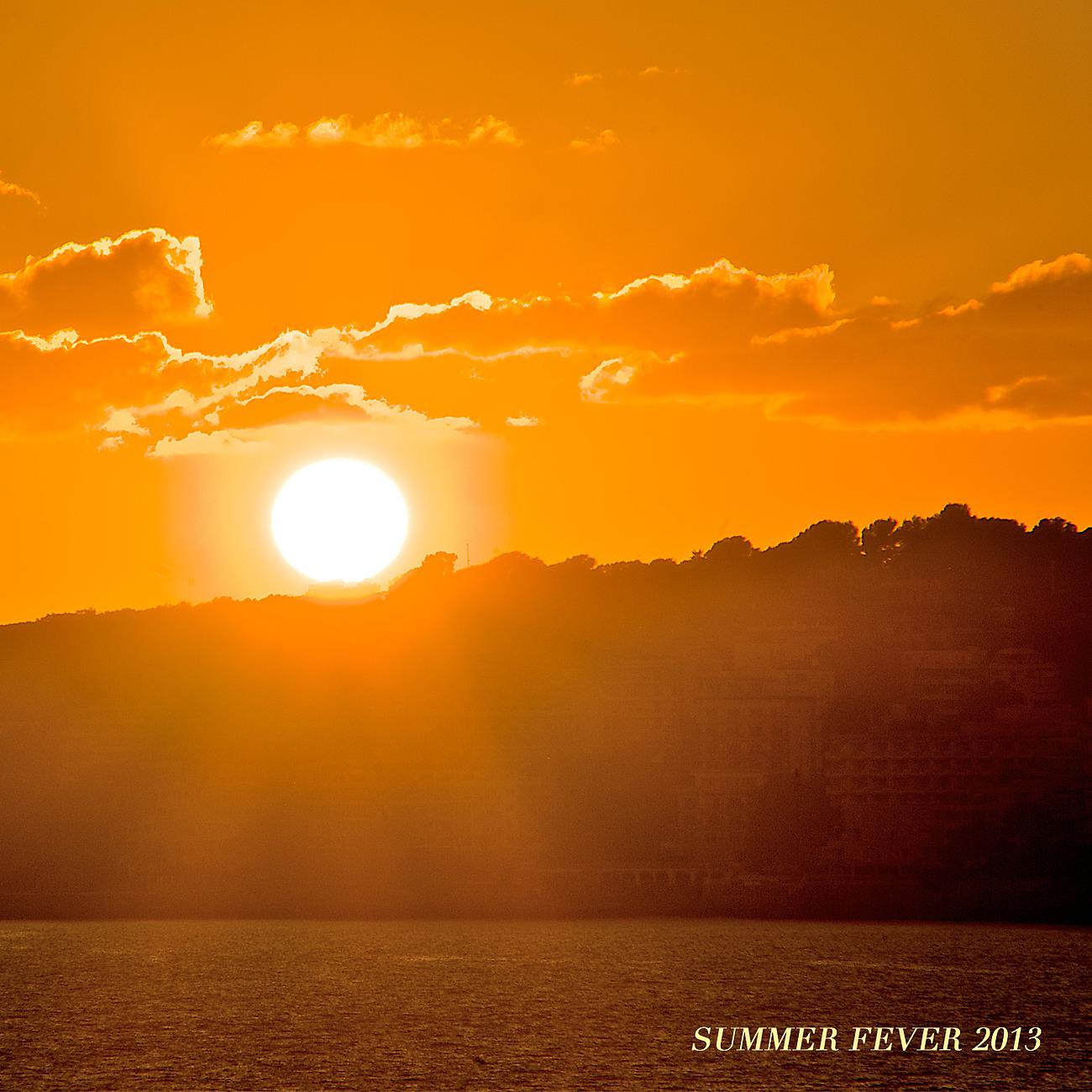 Постер альбома Summer Fever 2013