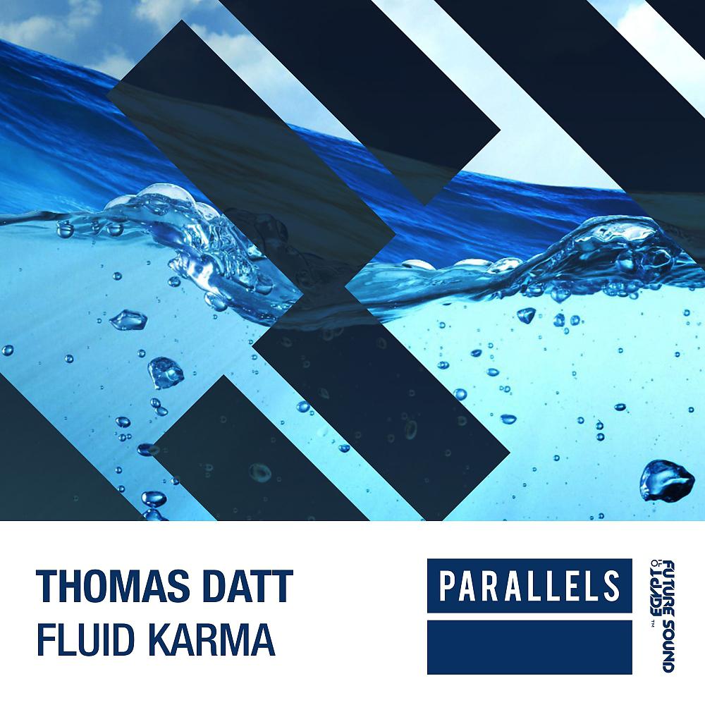 Постер альбома Fluid Karma