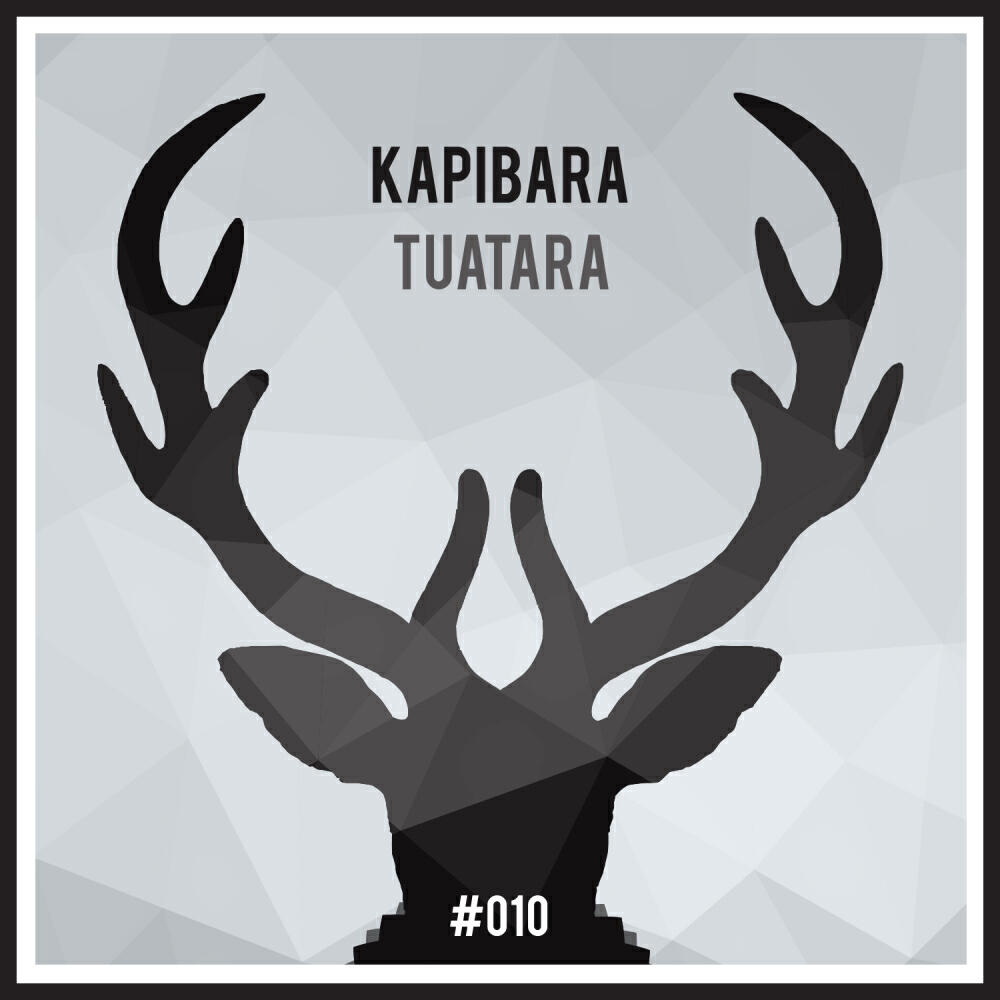 Kapibara - Gila