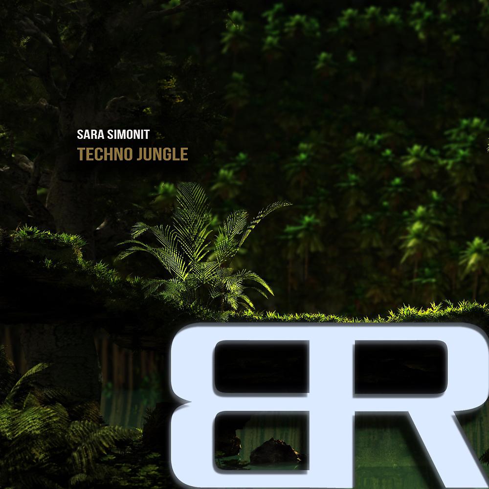 Постер альбома Techno Jungle