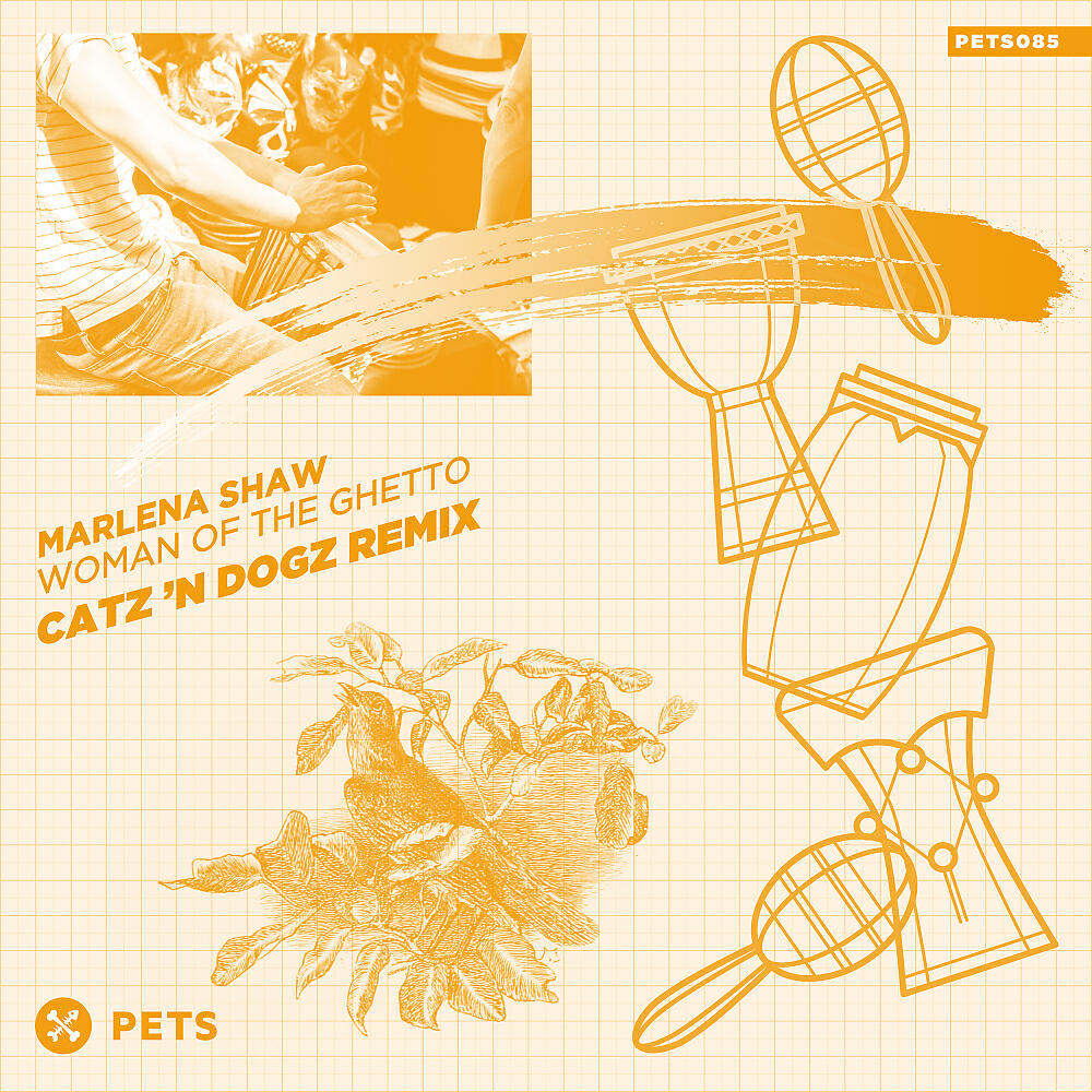 Marlena Shaw - Woman of The Ghetto (Catz 'N Dogz Radio Edit)