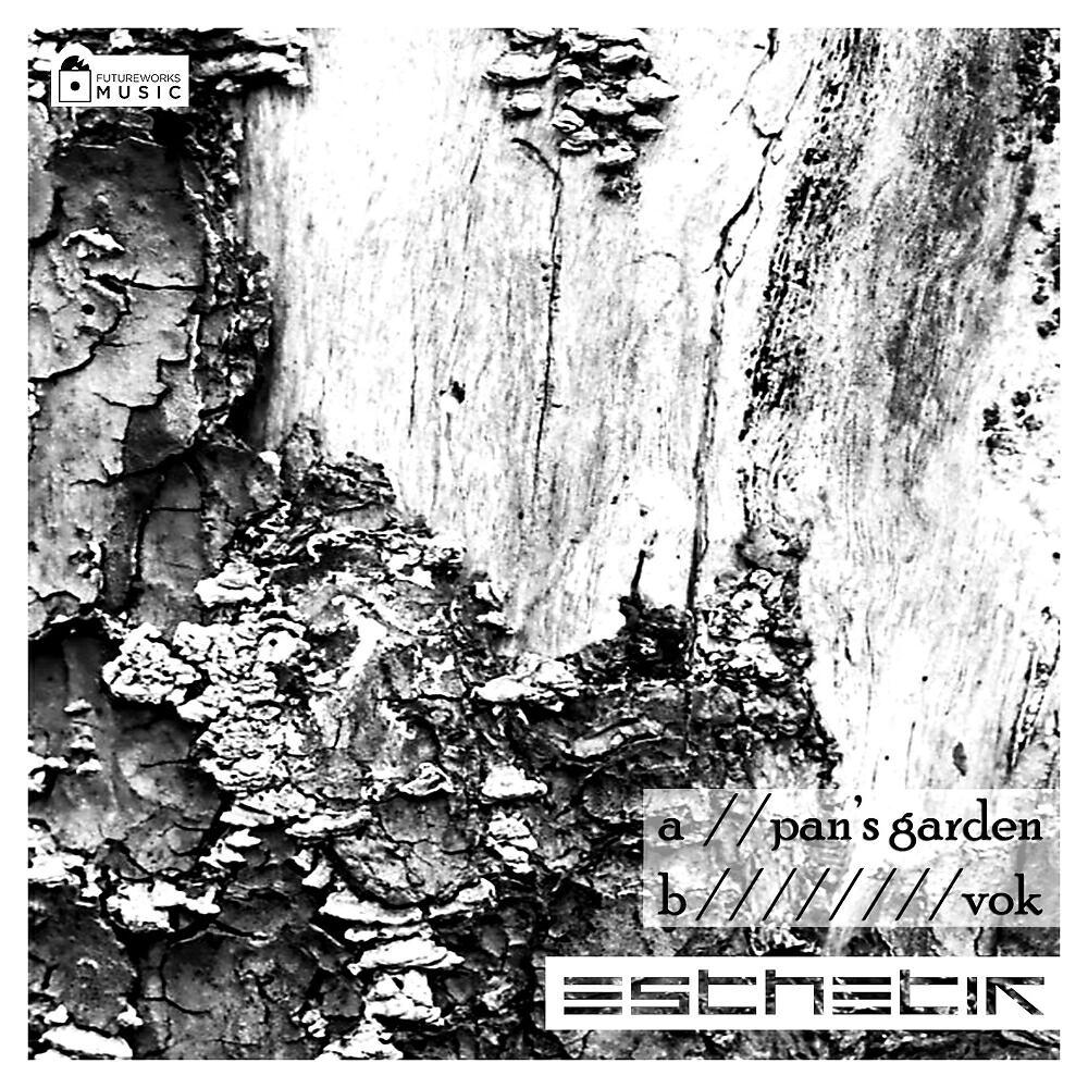 Esthetik - Vok (Original Mix)