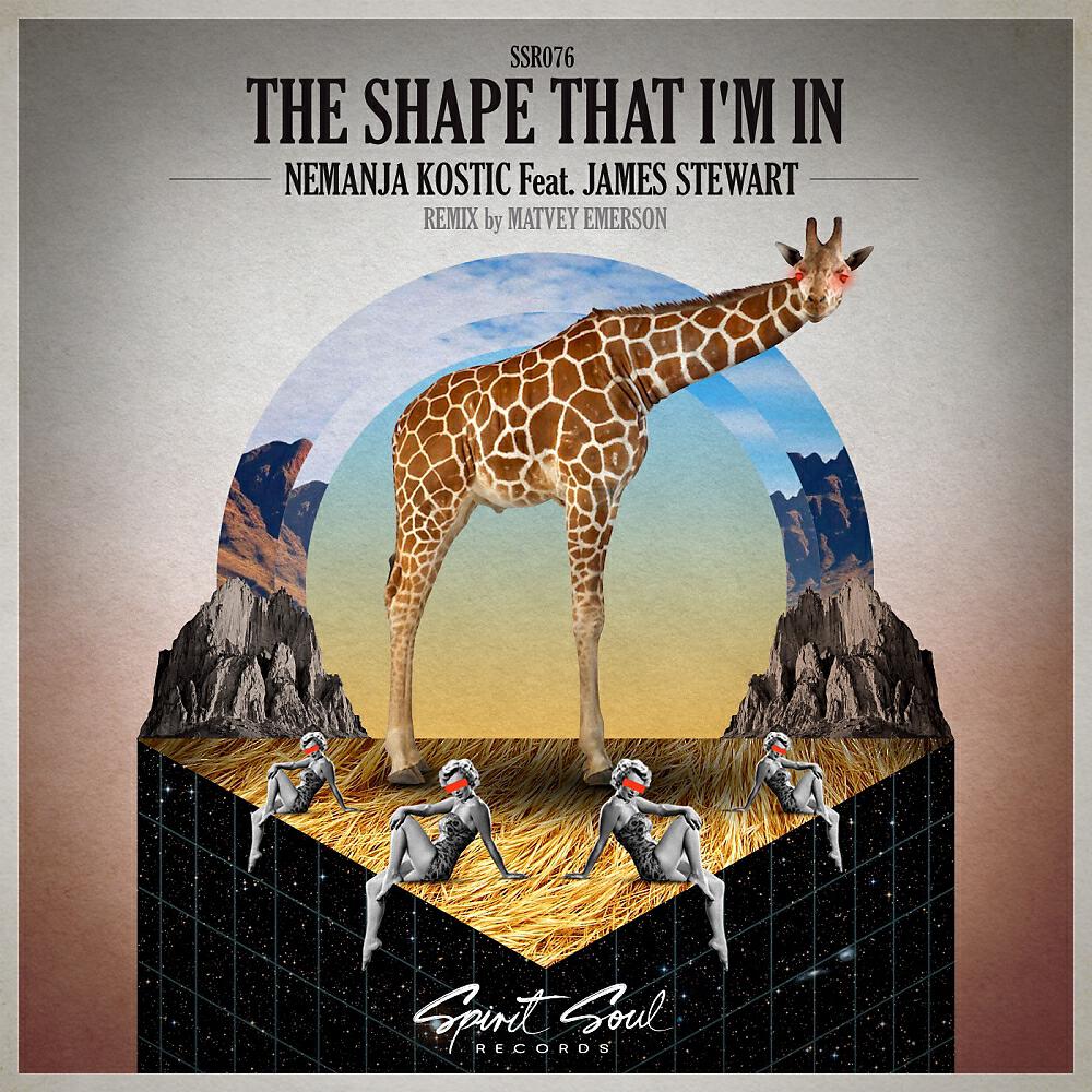 Nemanja Kostic - The Shape That I'm In (Radio Mix)