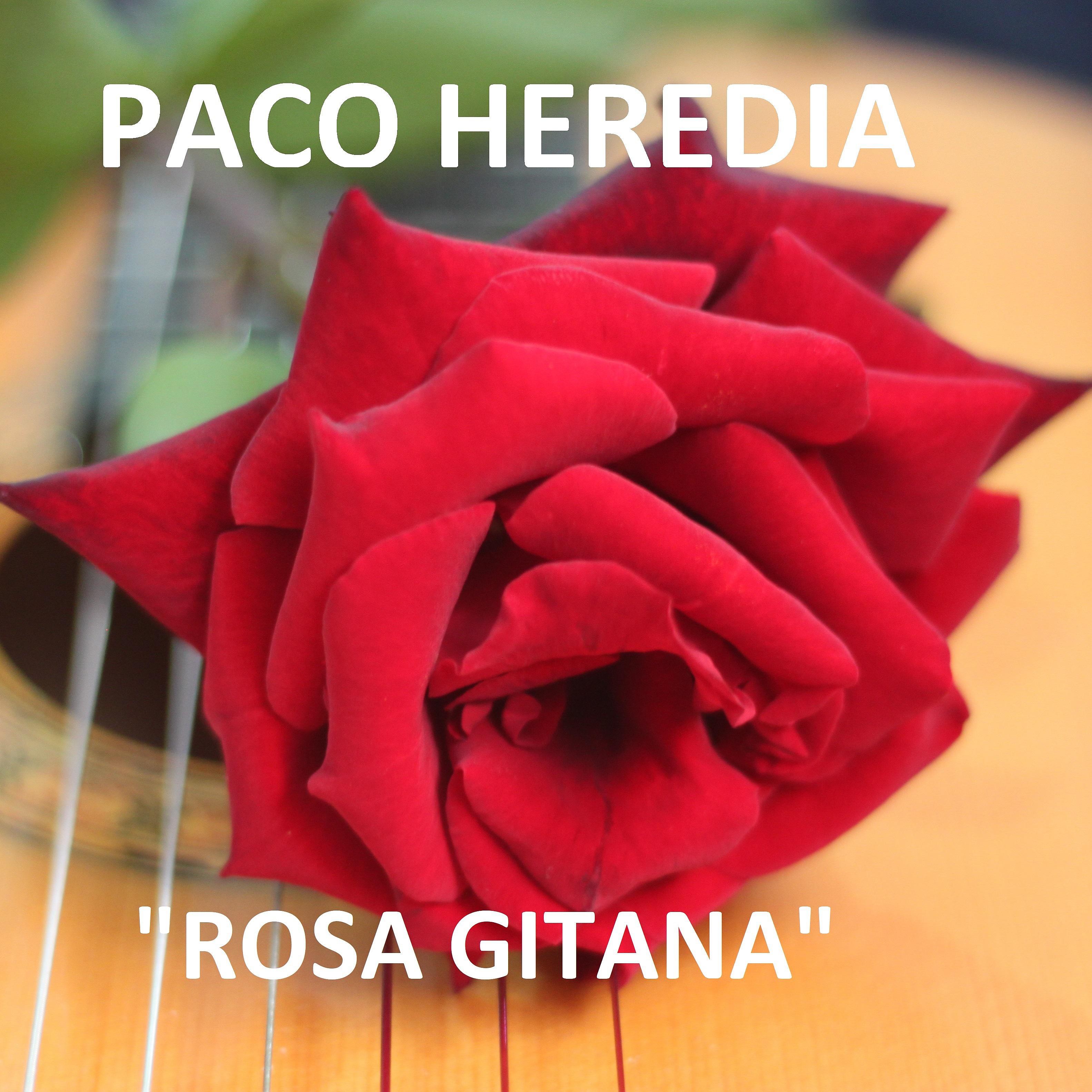 Постер альбома Rosa Gitana