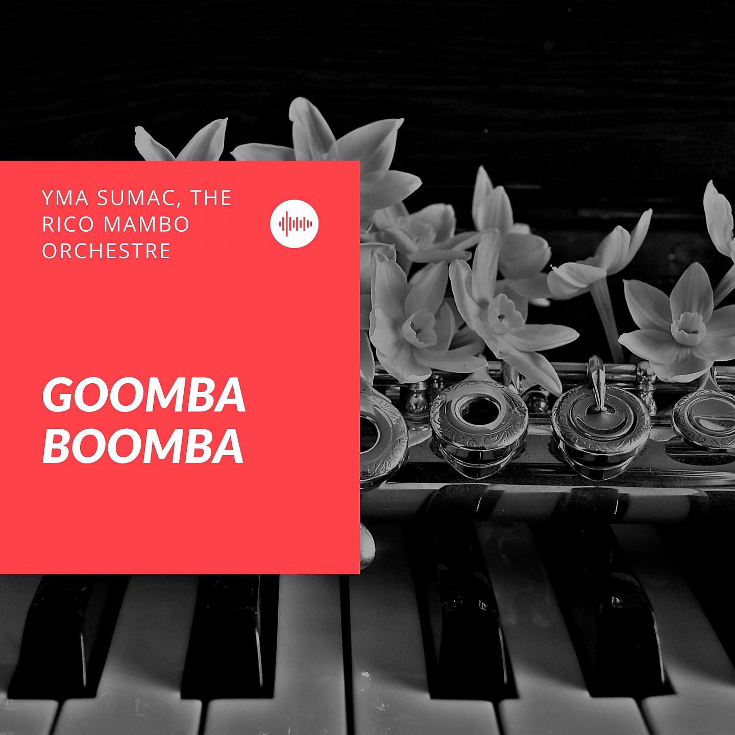Постер альбома Goomba Boomba