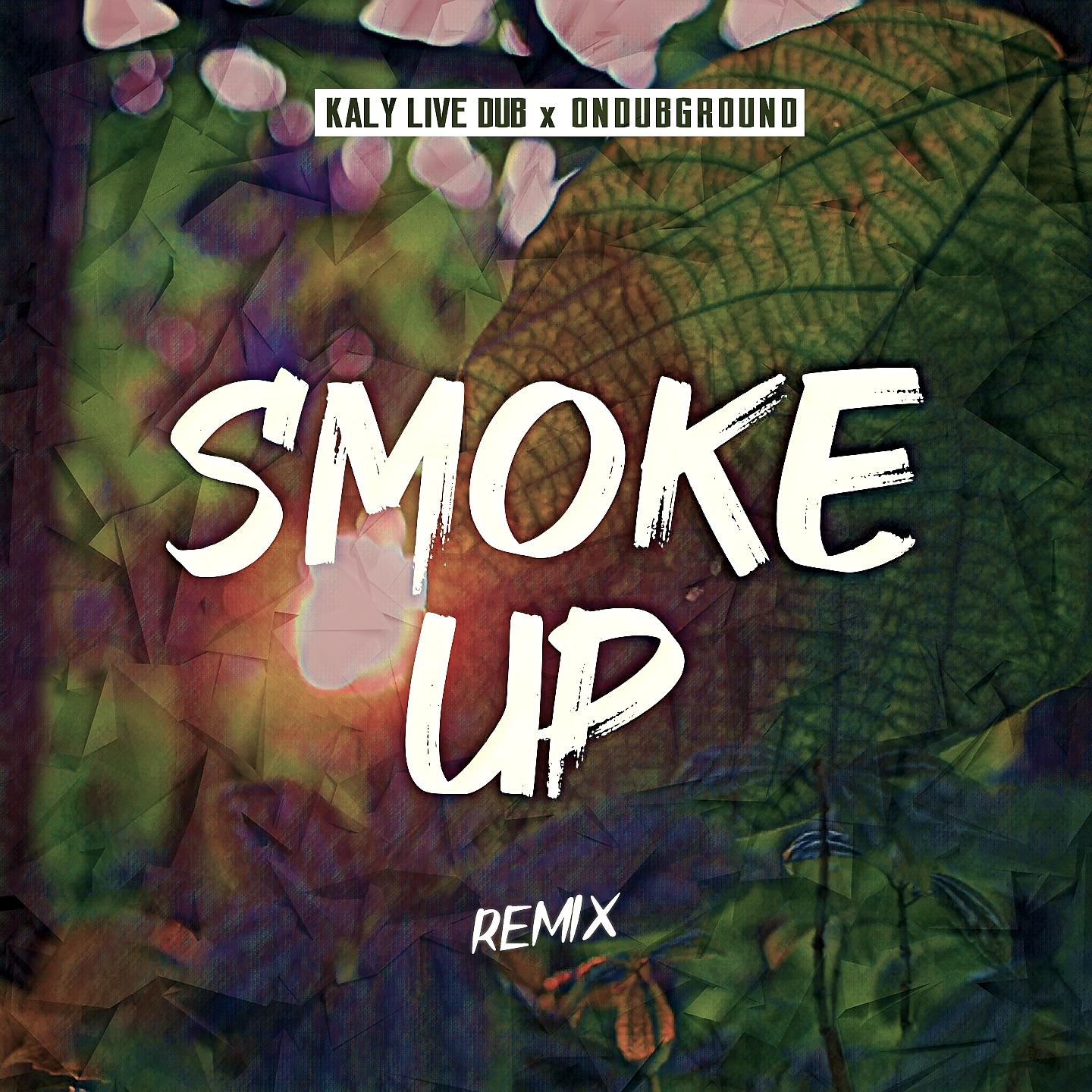 Постер альбома Smoke Up