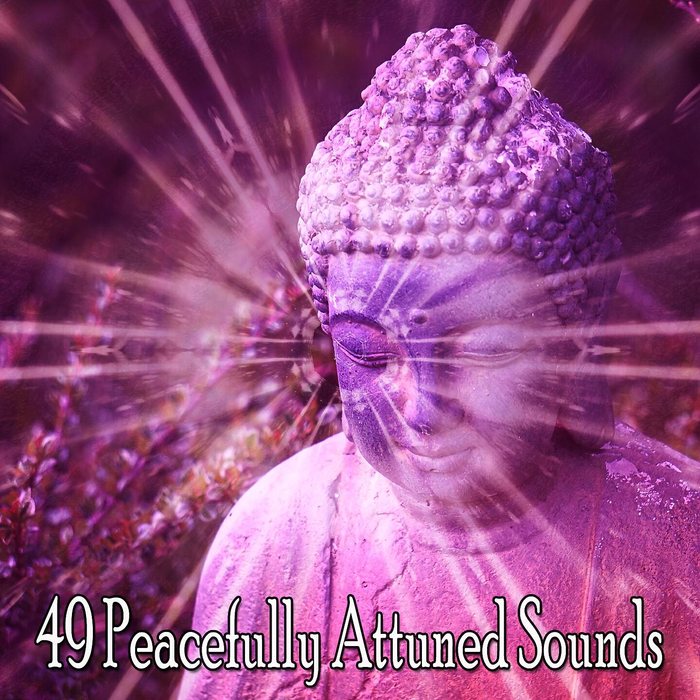 Focus Study Music Academy - Harmonys Peaceful Serenity