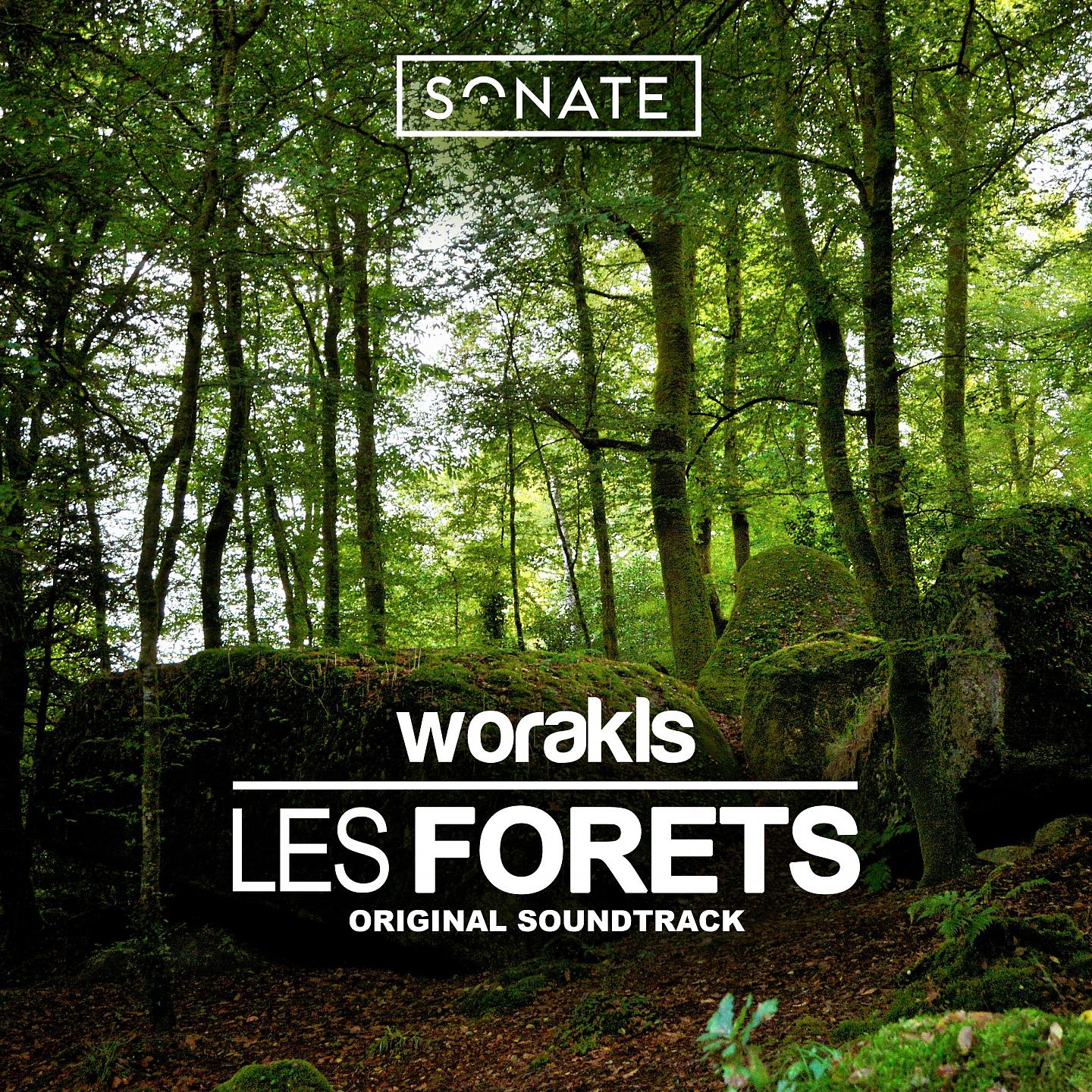 Постер альбома Les forêts