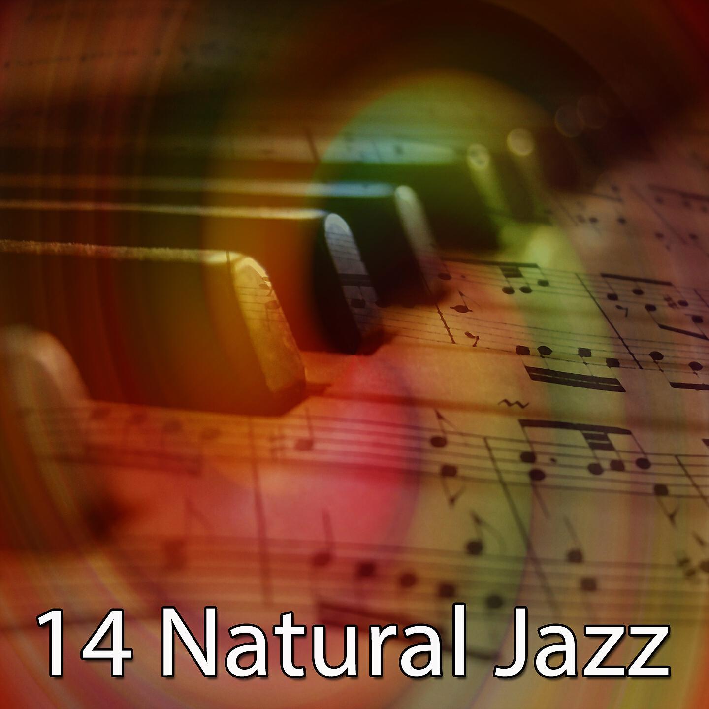 Chillout Lounge - Chained by the Mood