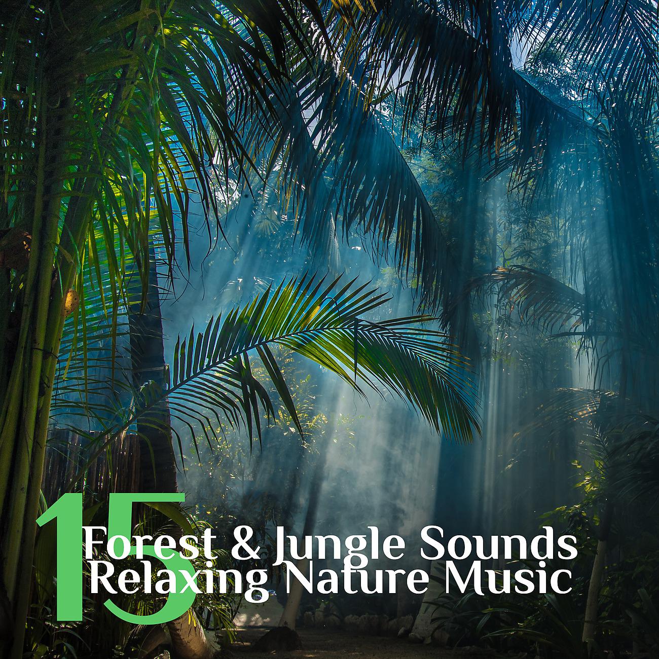 Постер альбома 15 Forest & Jungle Sounds