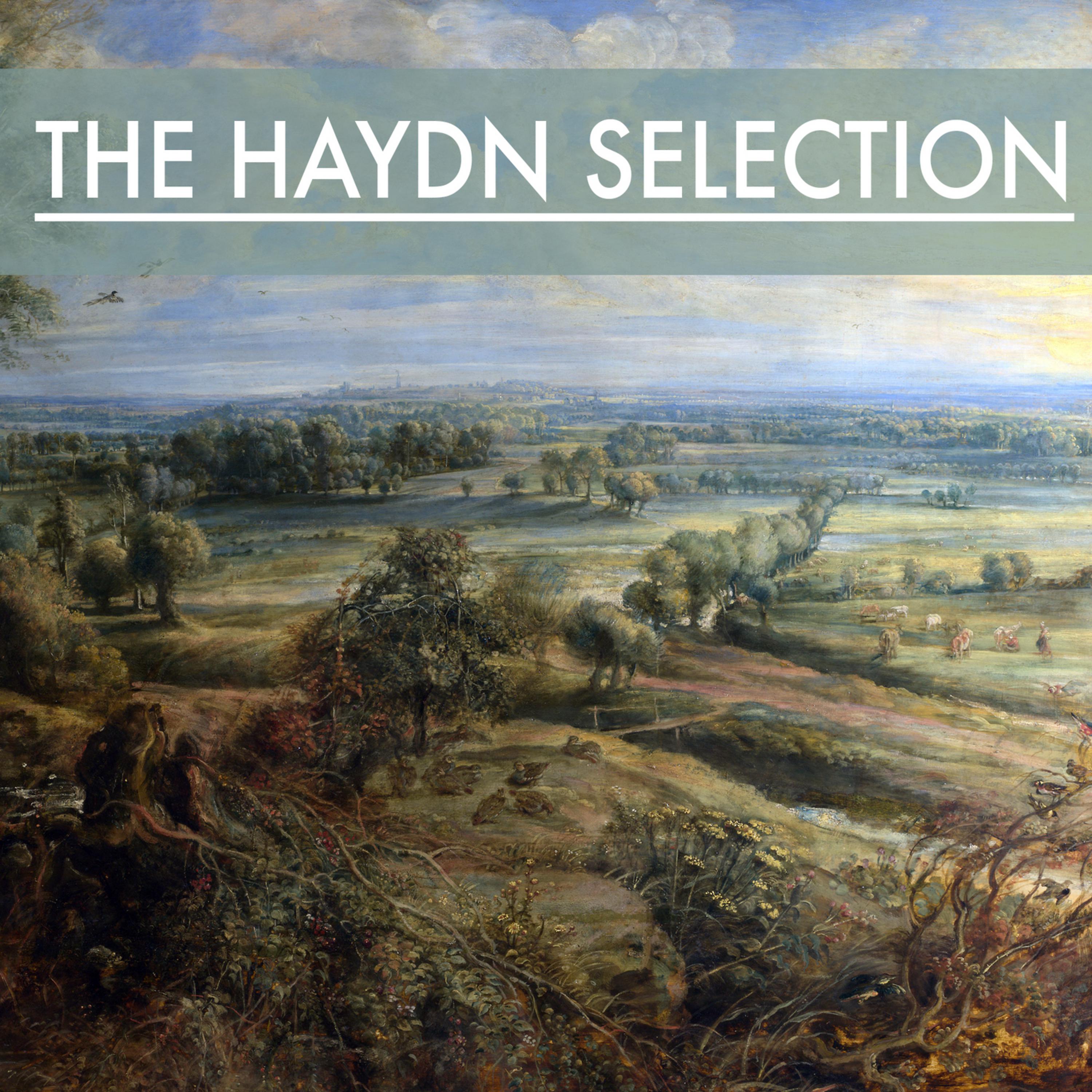 Постер альбома The Haydn Selection