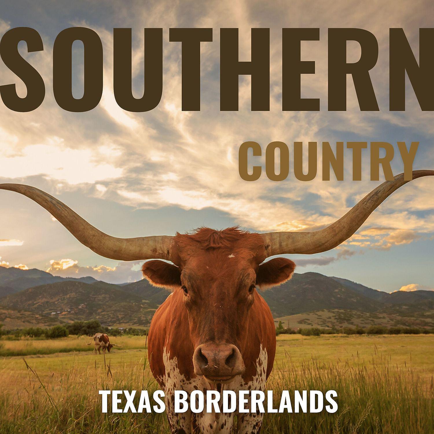 Постер альбома Southern Country - Texas Borderlands, Guitar Ballad
