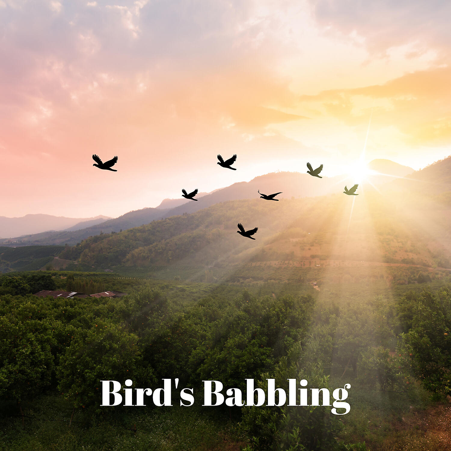 Nature Music Sanctuary - Nature Sanctuary