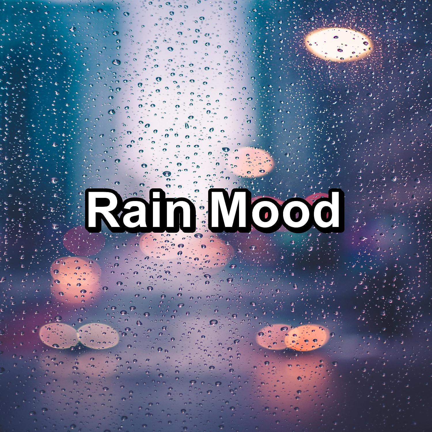 Постер альбома Rain Mood
