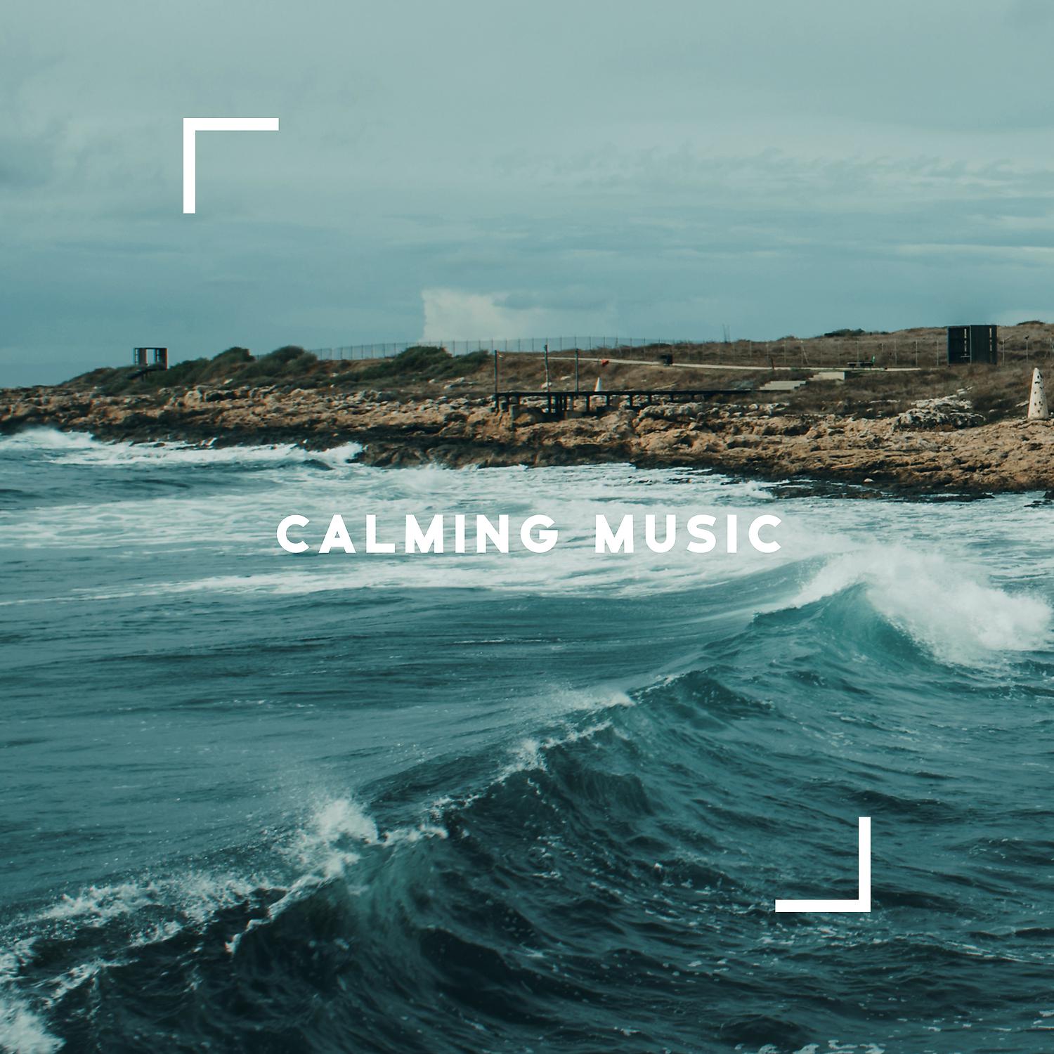 Постер альбома Calming Music - Peaceful Instrumental Music for Reduce Stress & Anxiety, Spa, Relax, Meditation, Study, Sleep