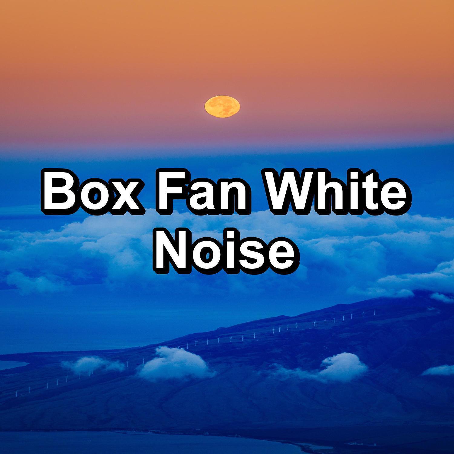 Постер альбома Box Fan White Noise