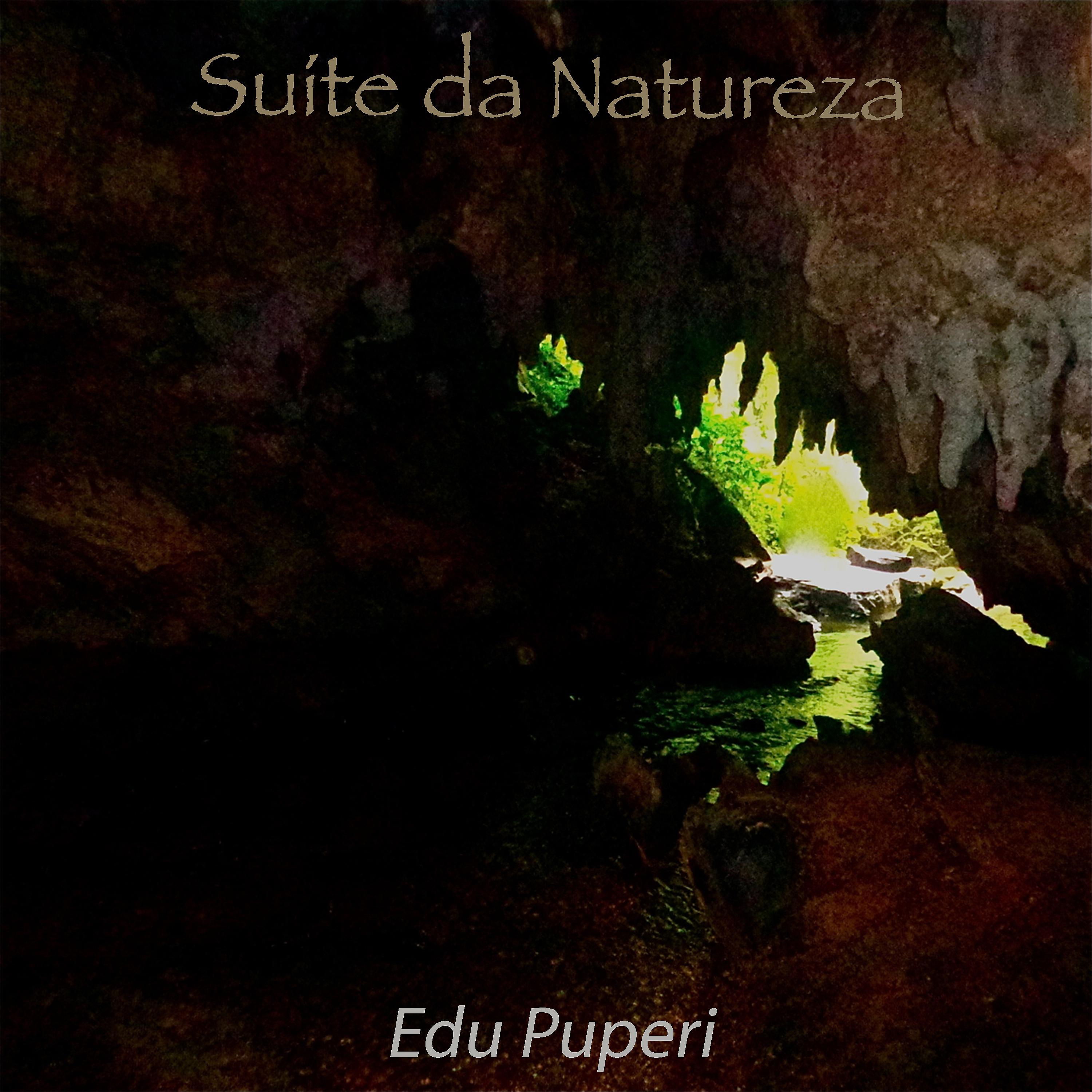 Постер альбома Suíte da Natureza